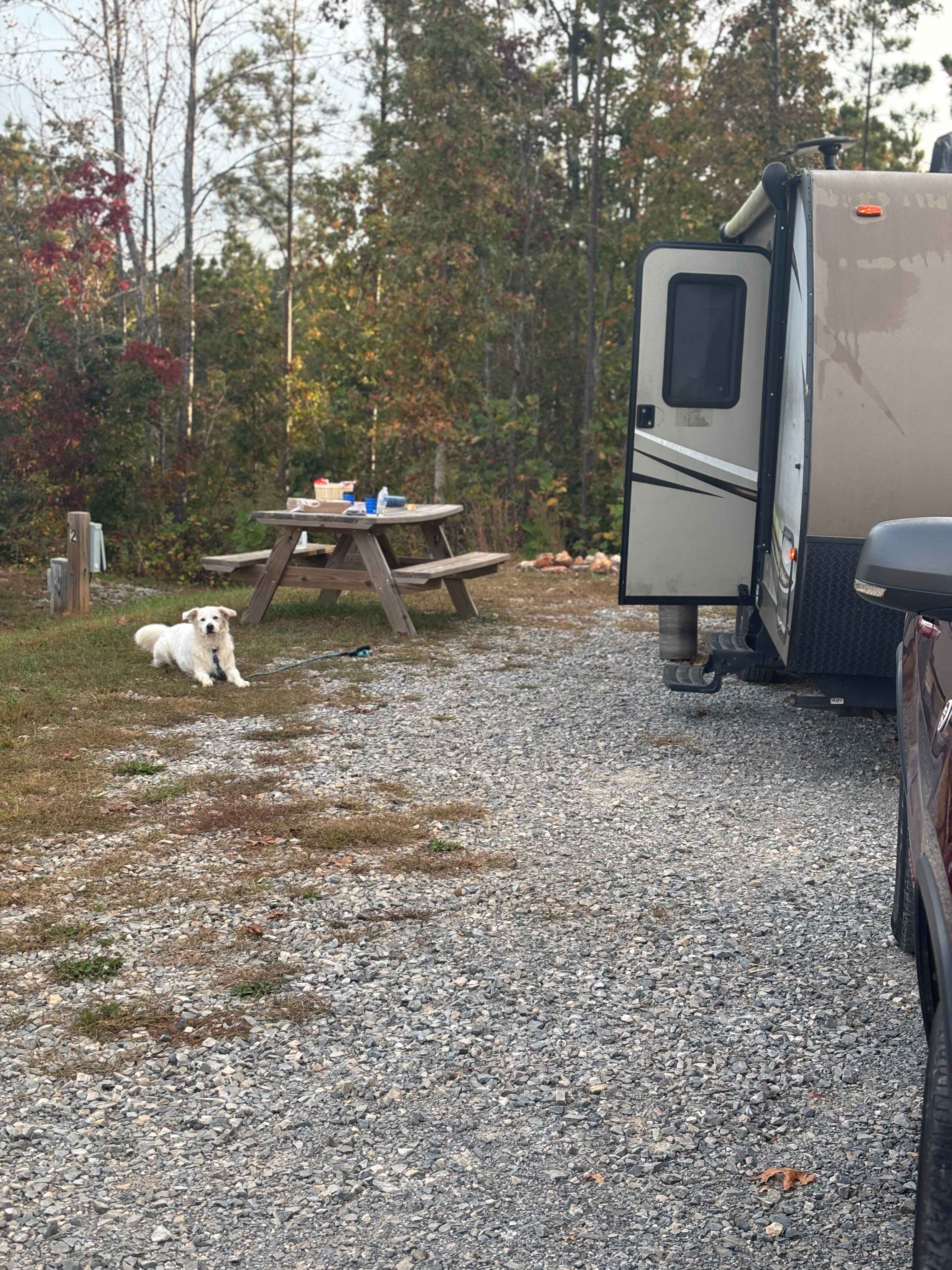 Tellurian Family Campground