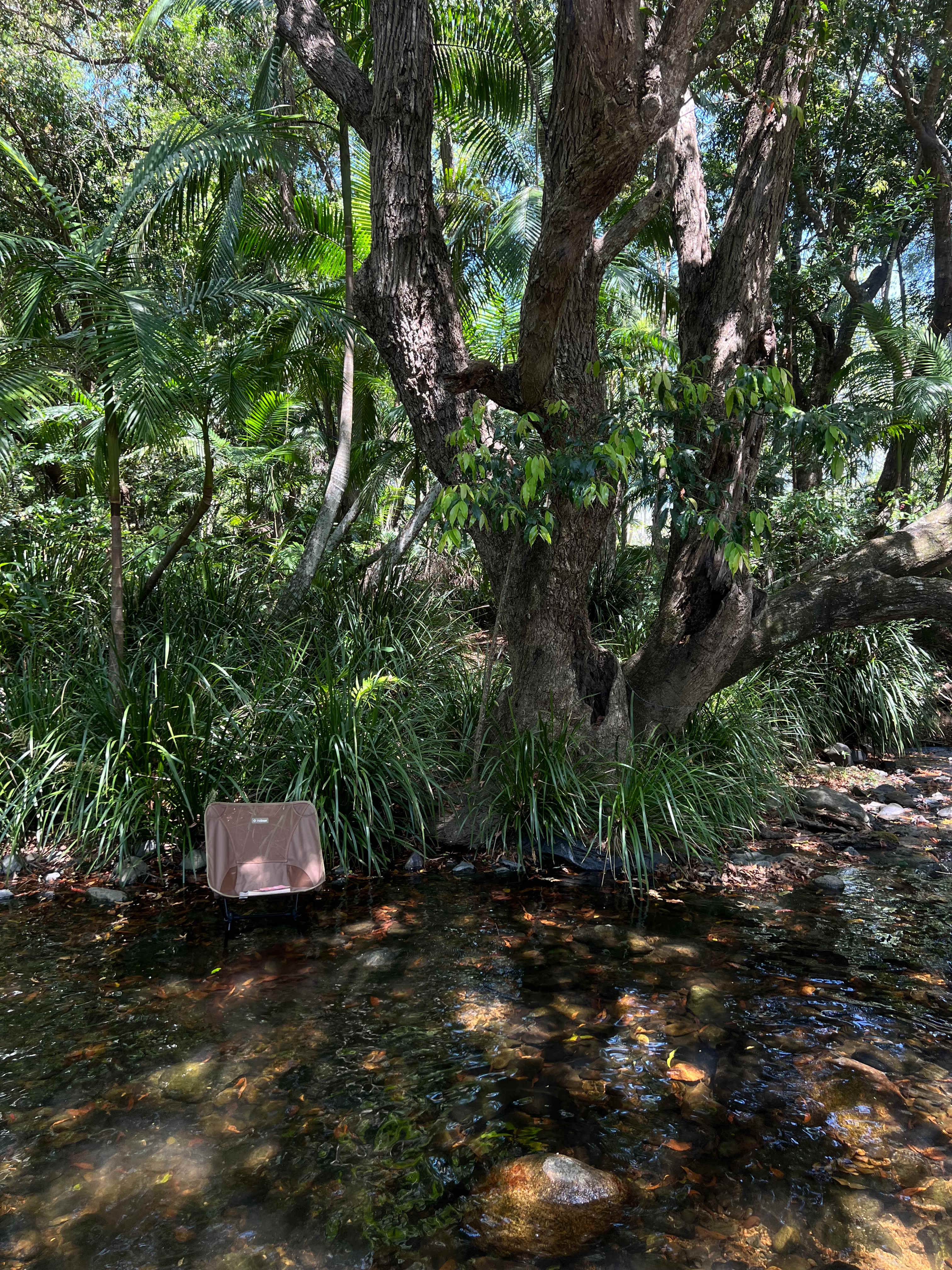 A Place To Call Home