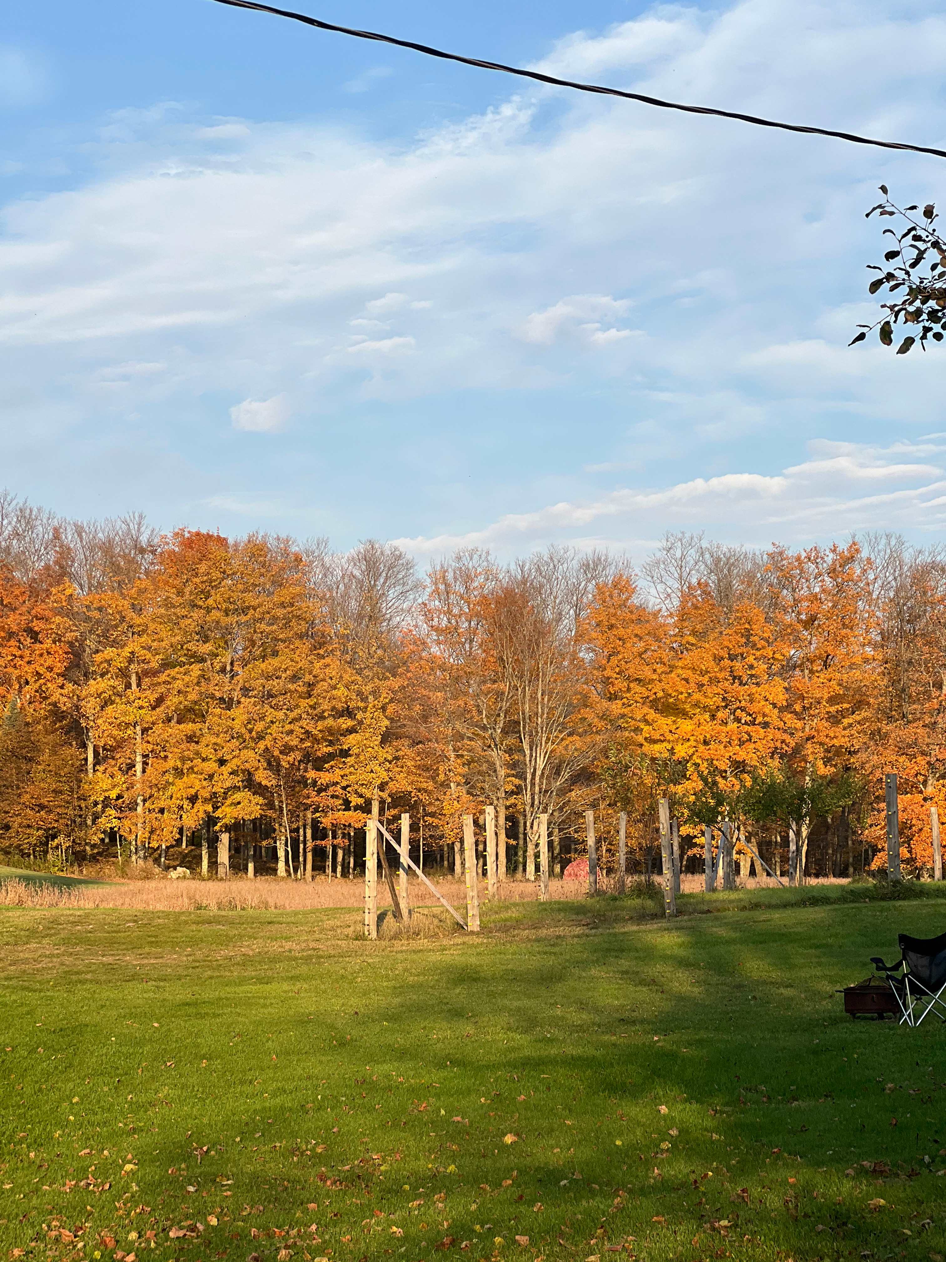 Fall colors behind the site
