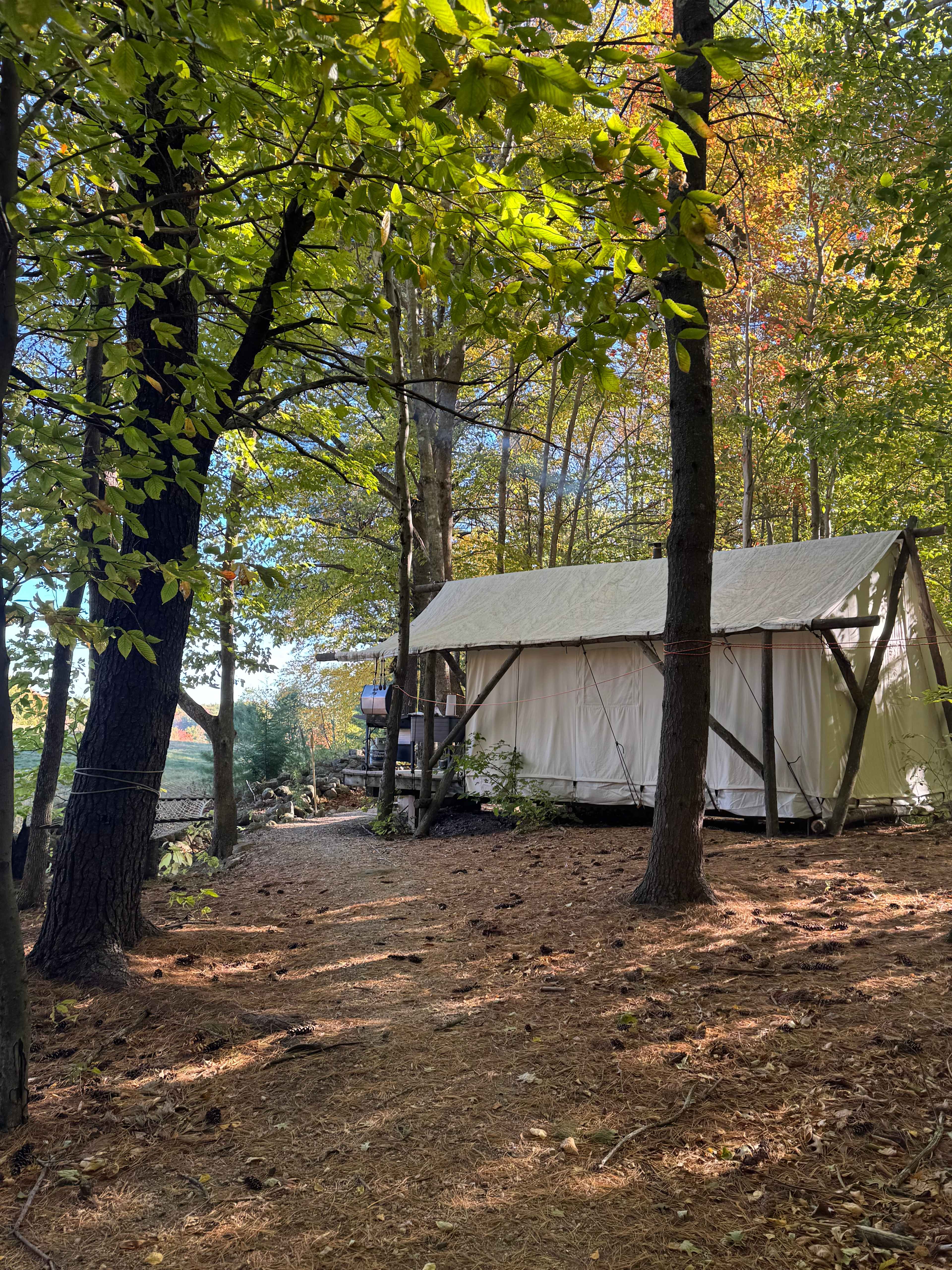 BrandiLee Woods at the Woolley farm