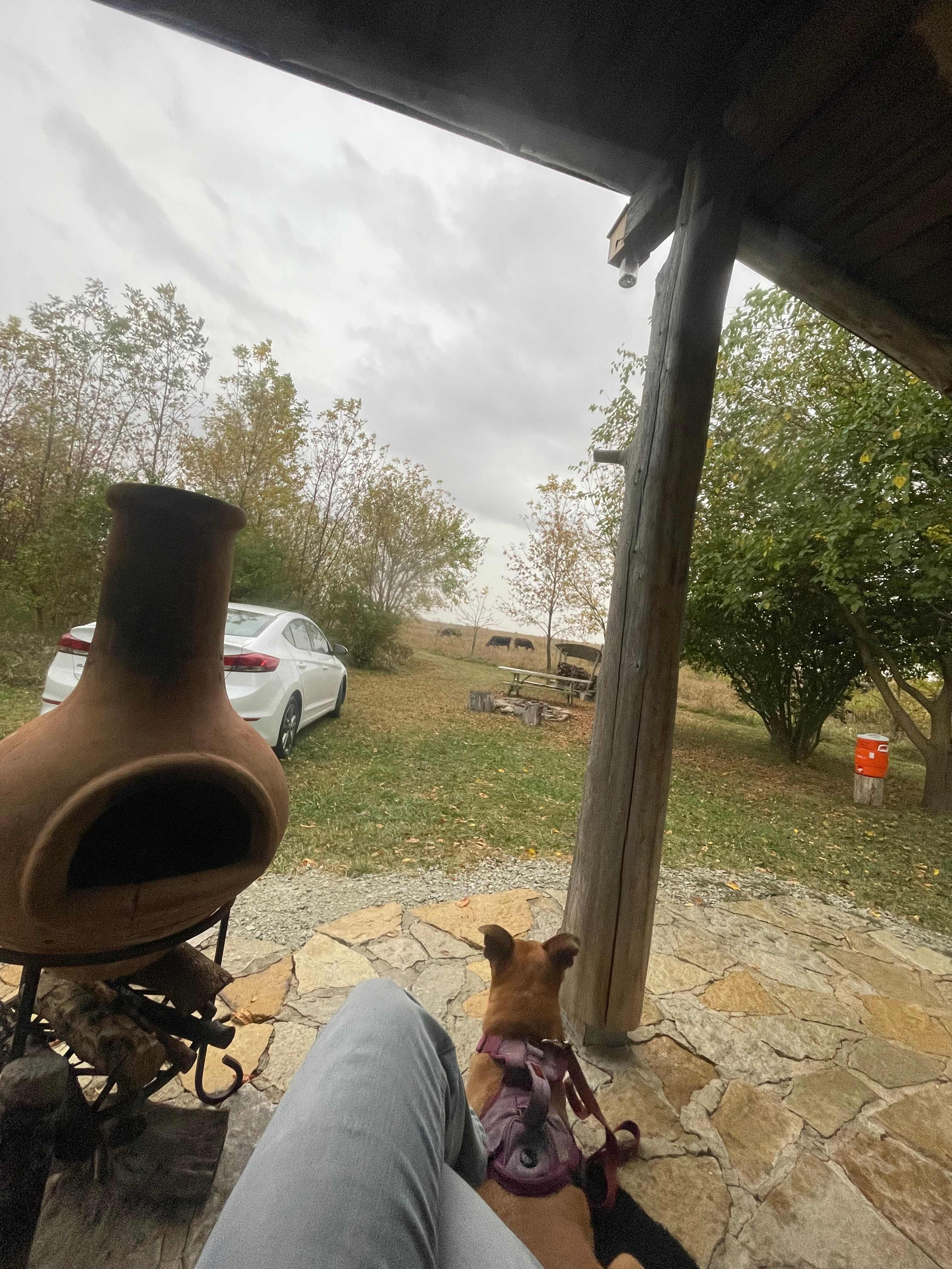 CSC Permaculture Project