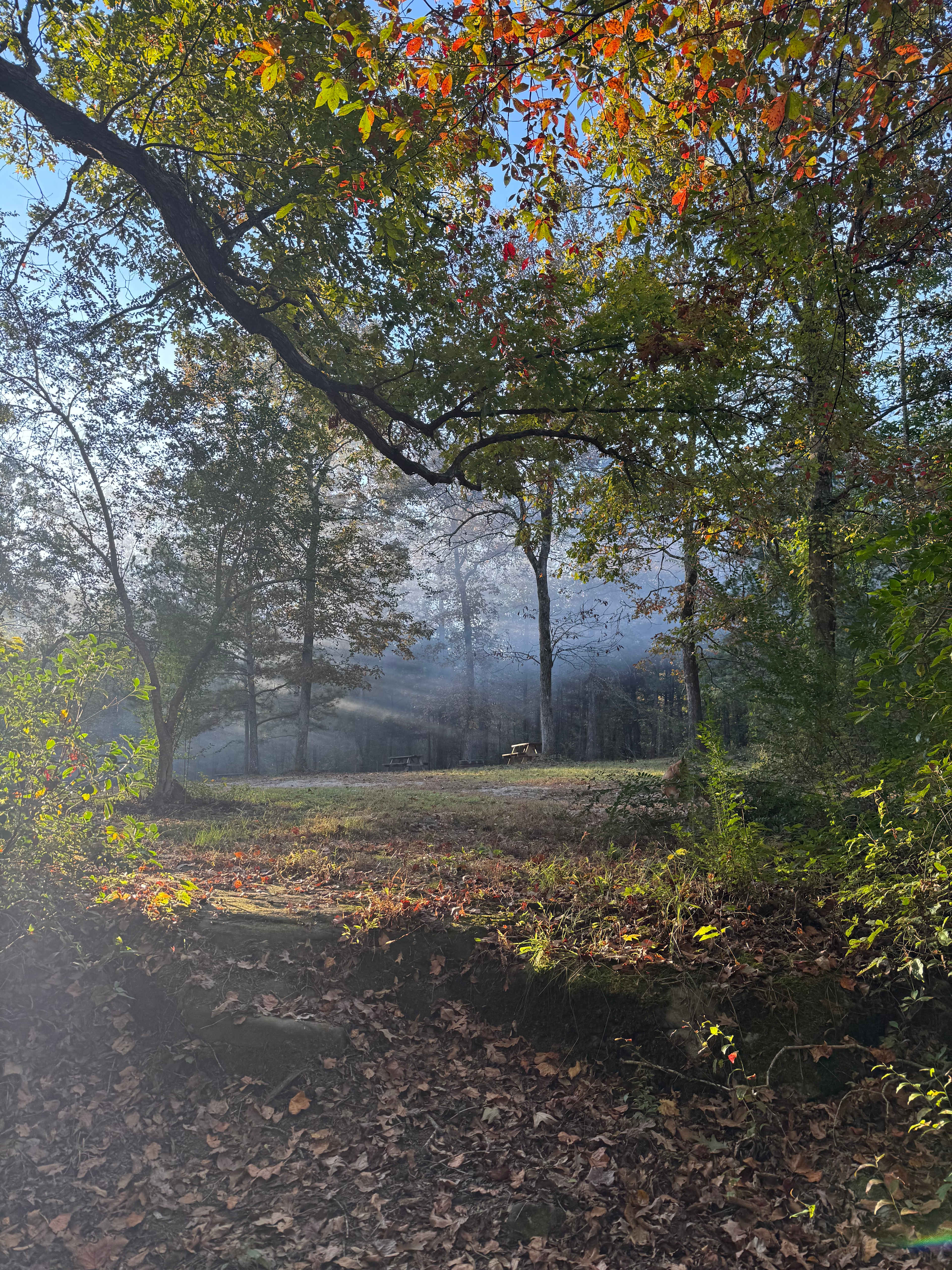 A couple of the sites in the middle of the selection