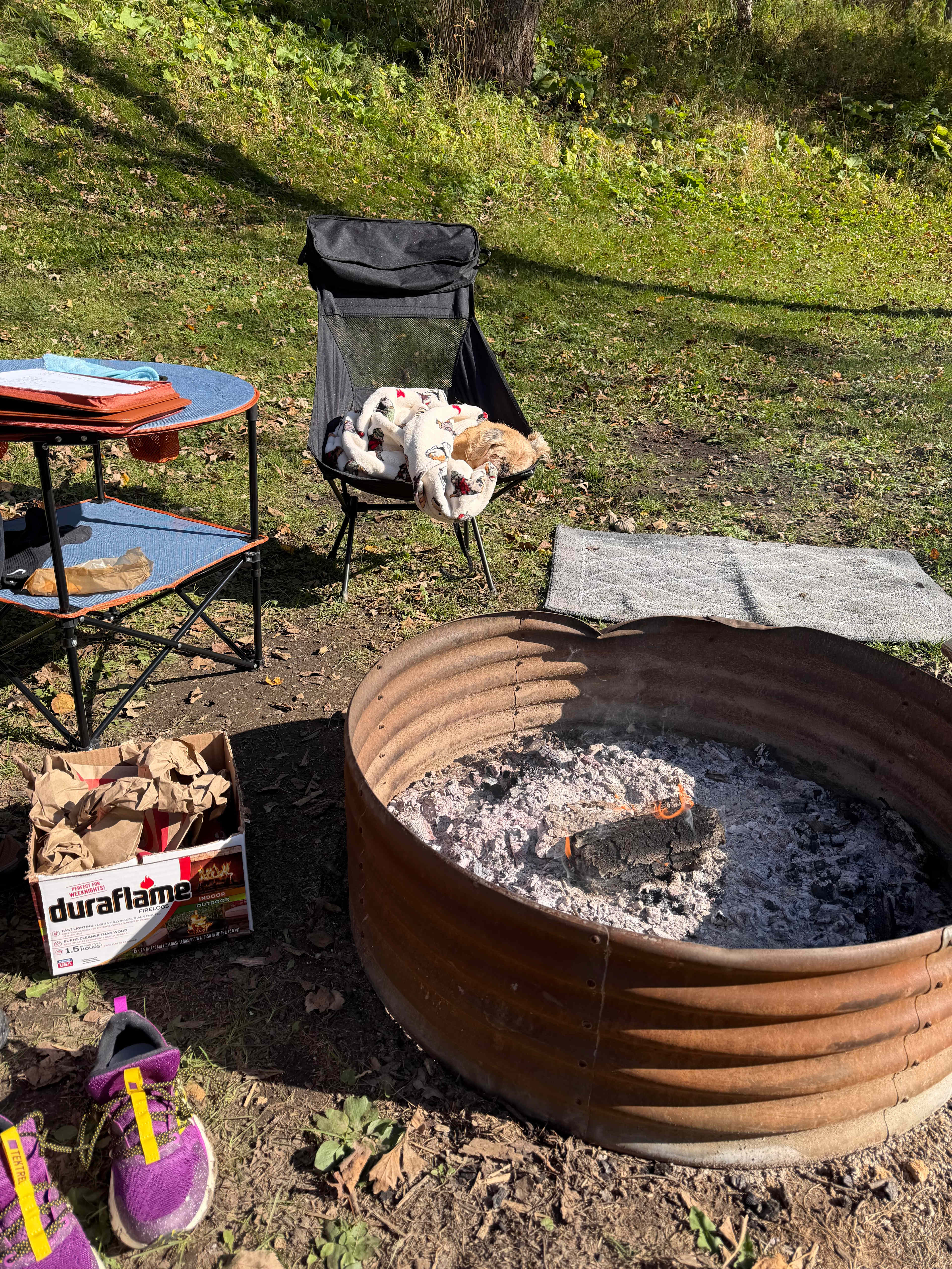 Bobby is taking his afternoon nap in the fresh air and sunshine🤓