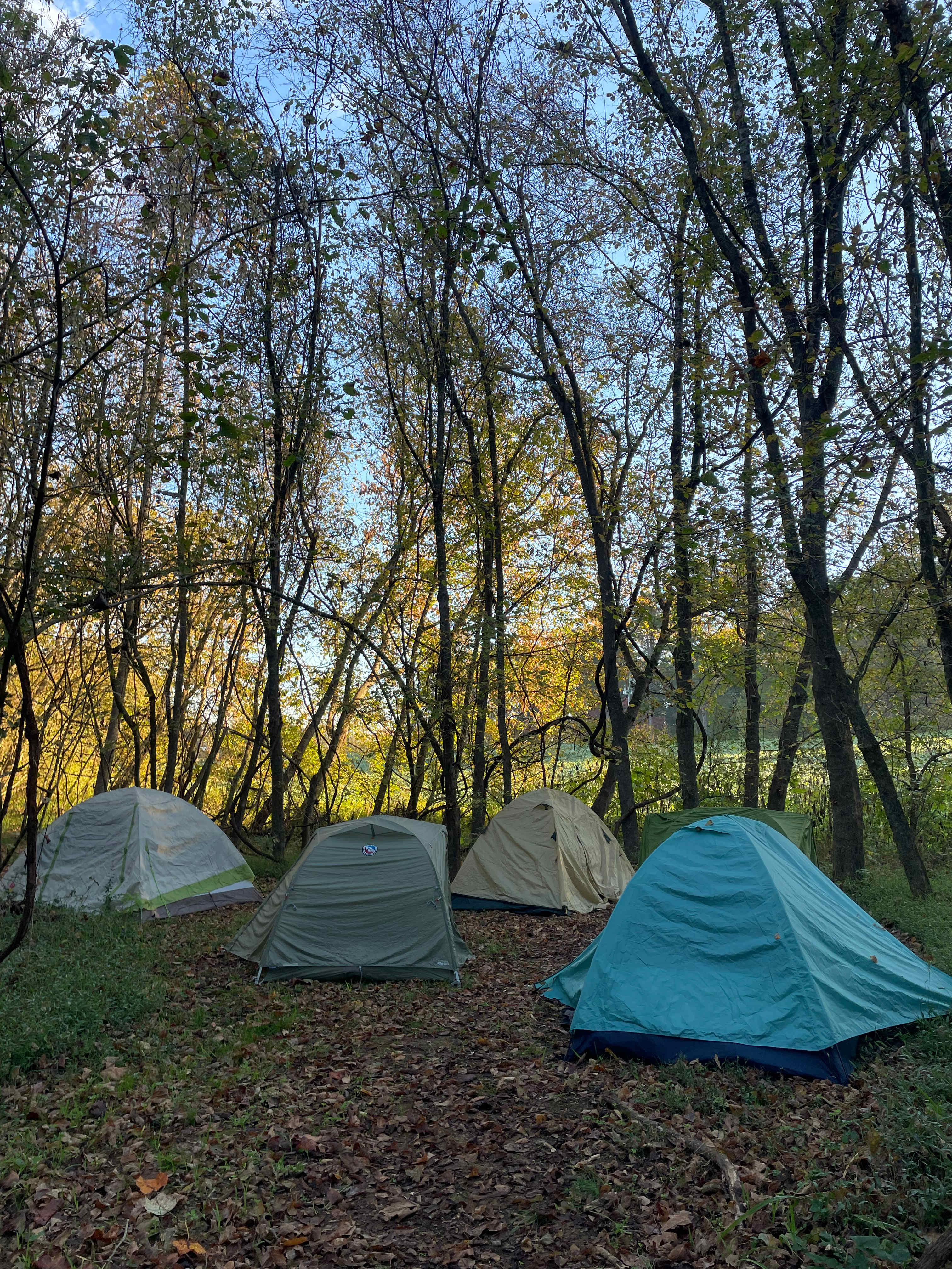 View of LH1 facing the road (creek/picnic table behind)