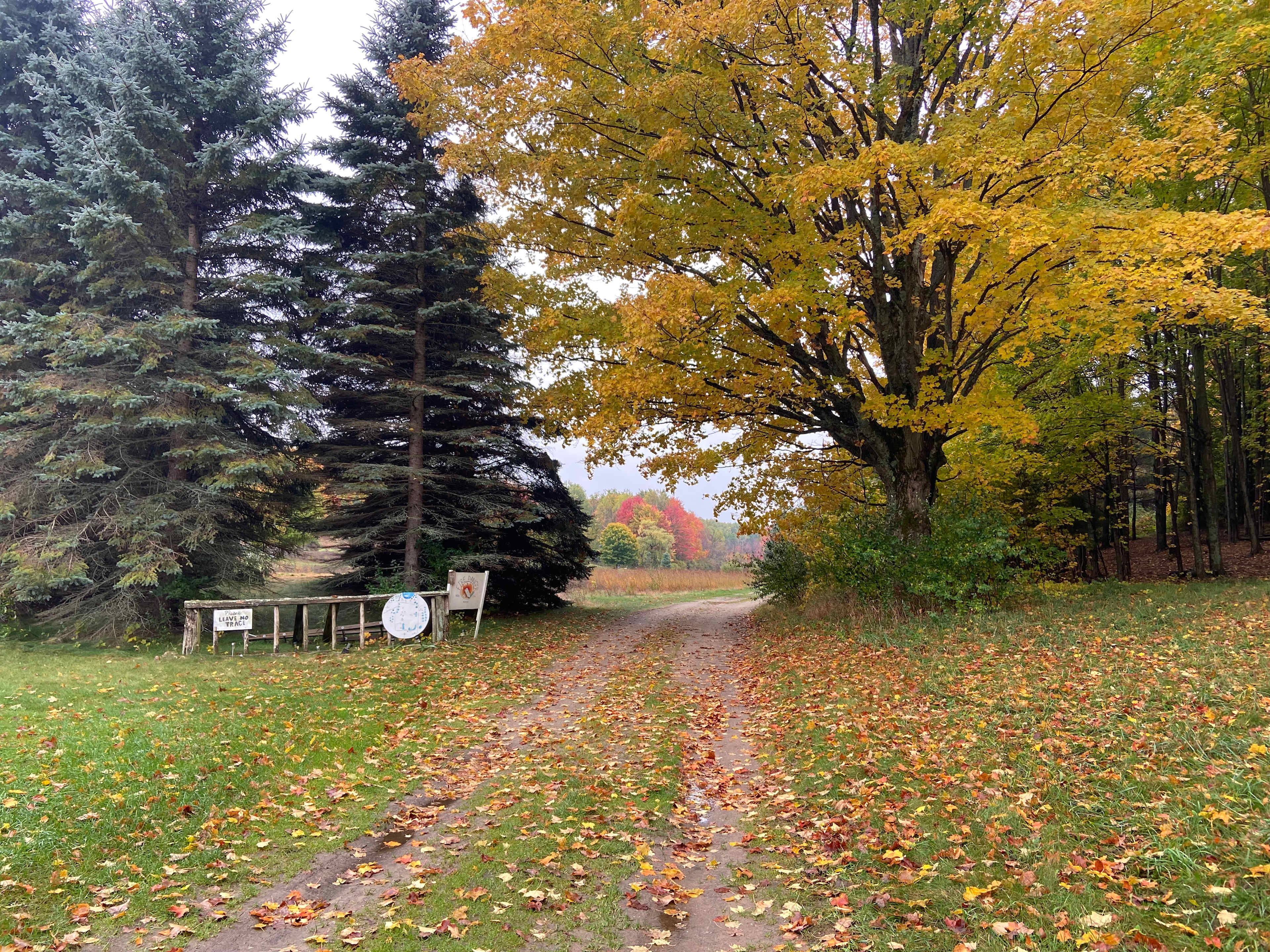 Rocky Top "Preserve"