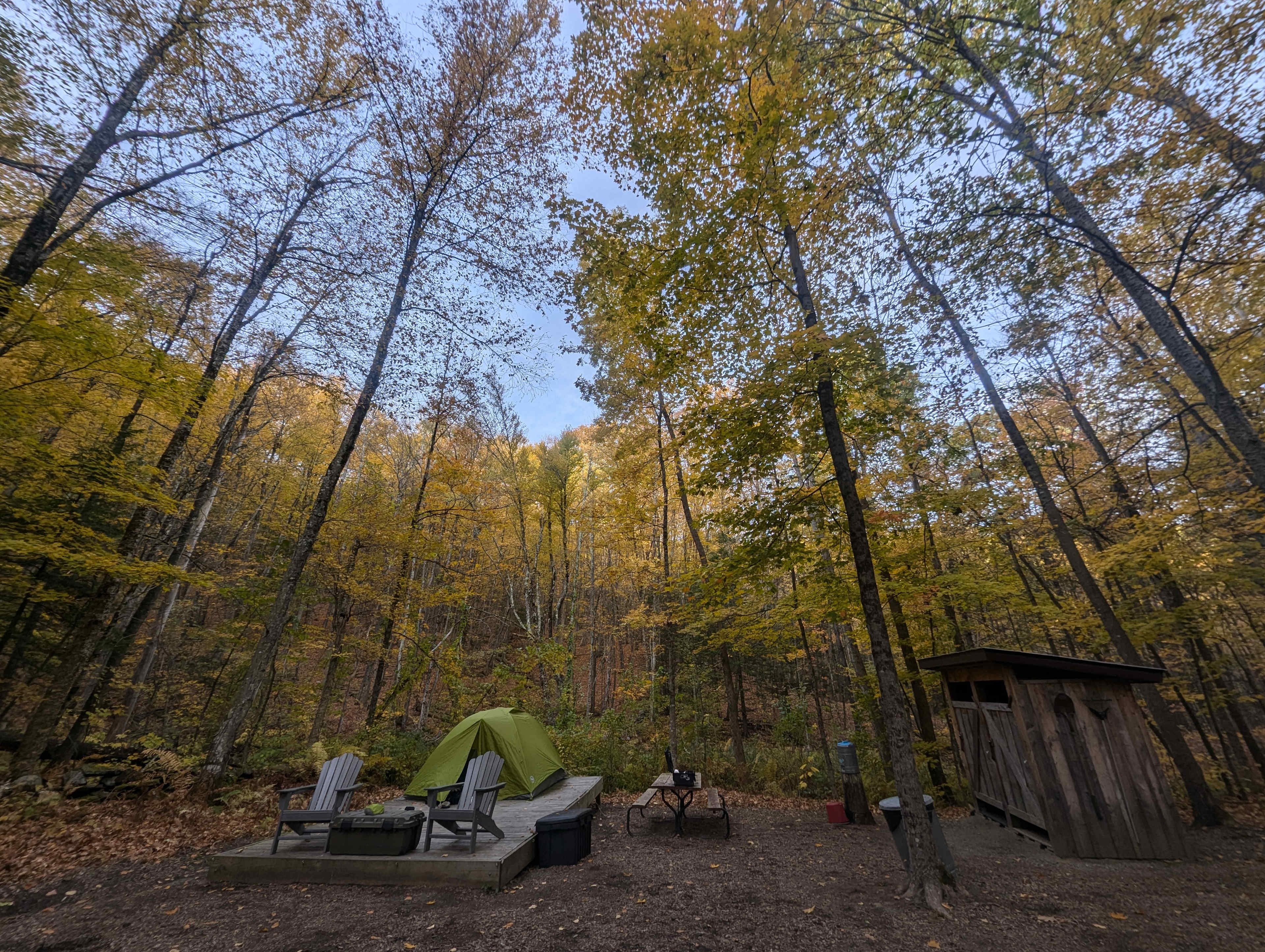 Cozie Nook Homestead