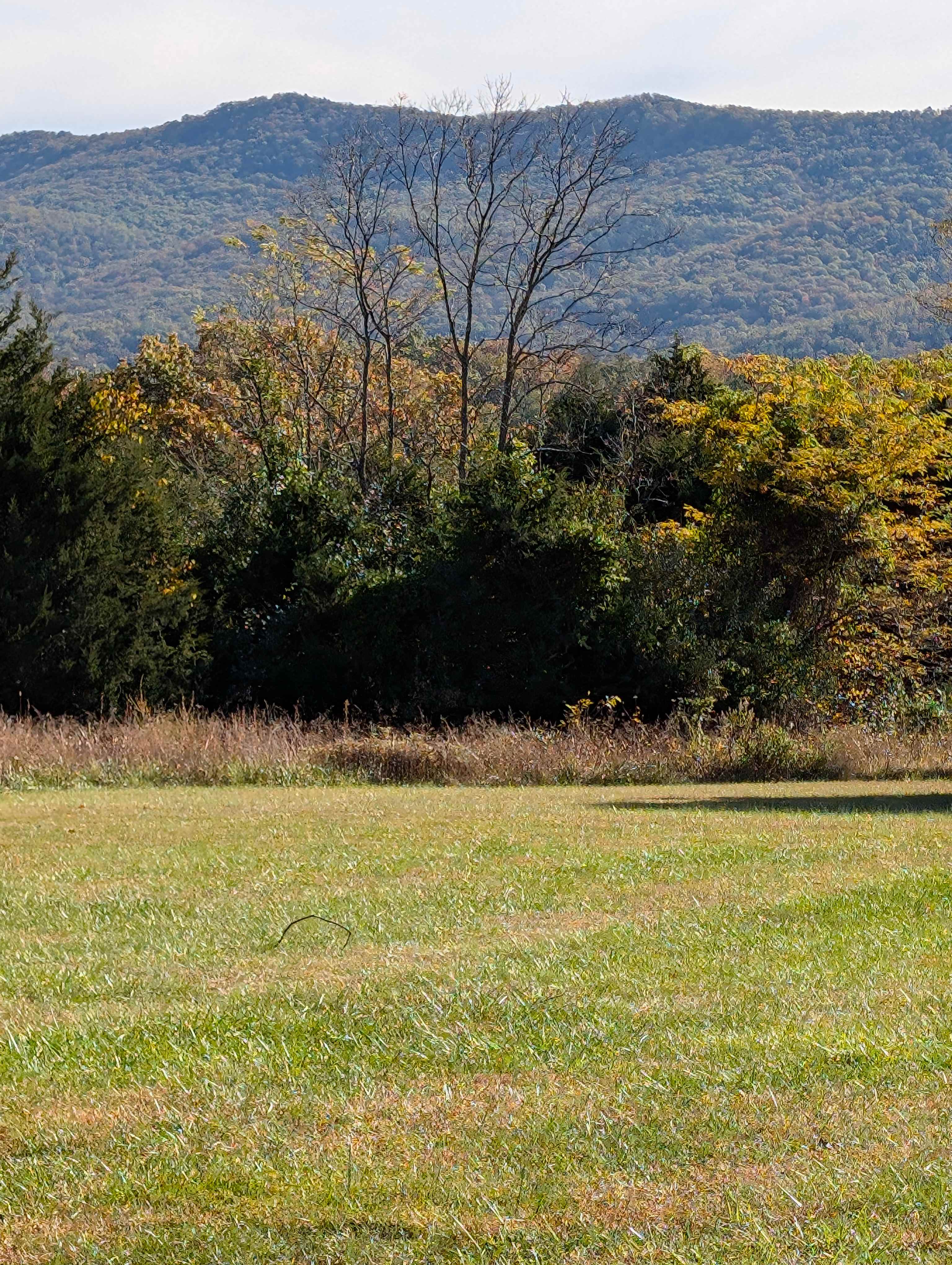 Camp Shenandoah Meadows