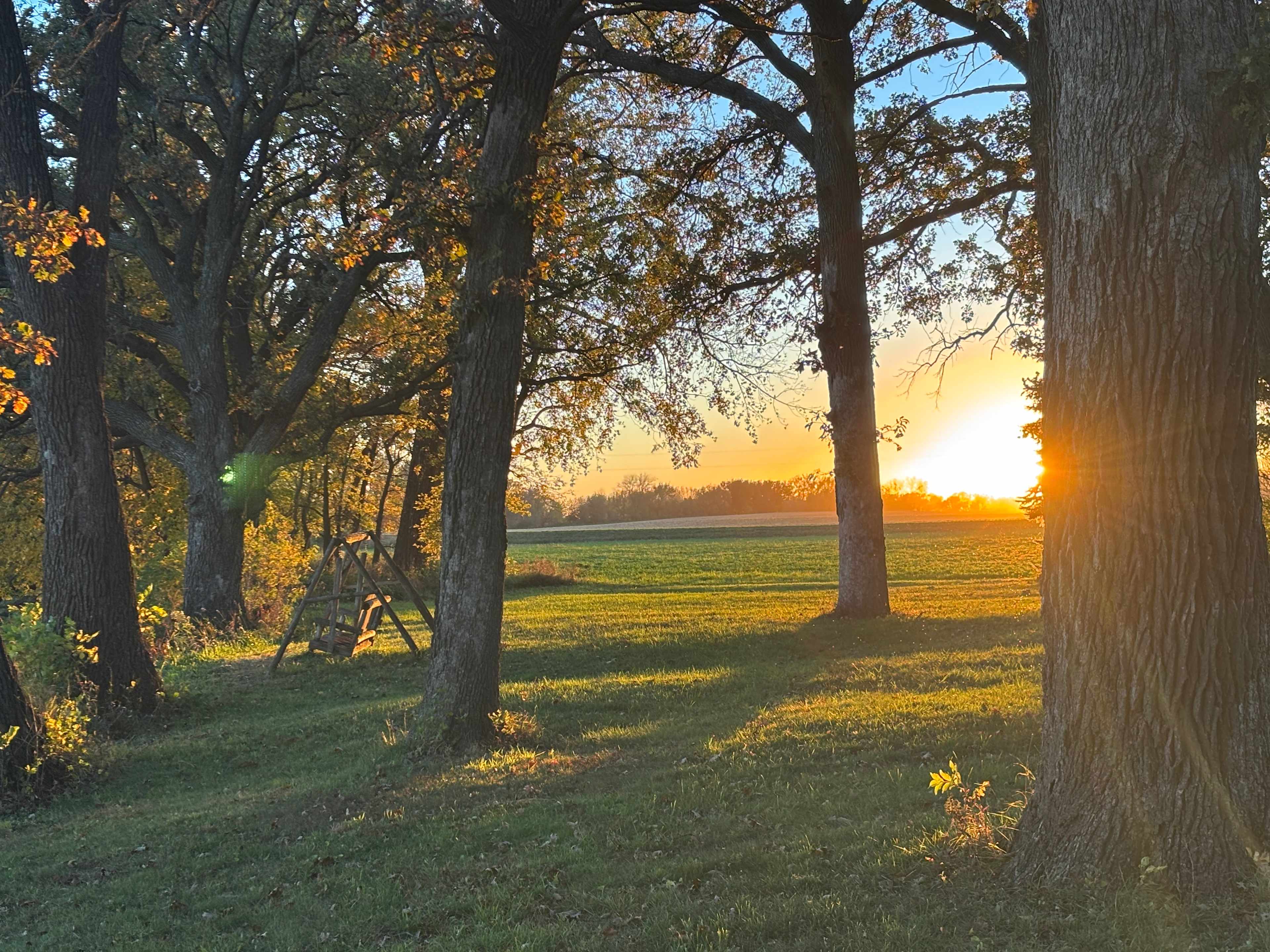 Stadings Farm & Ranch