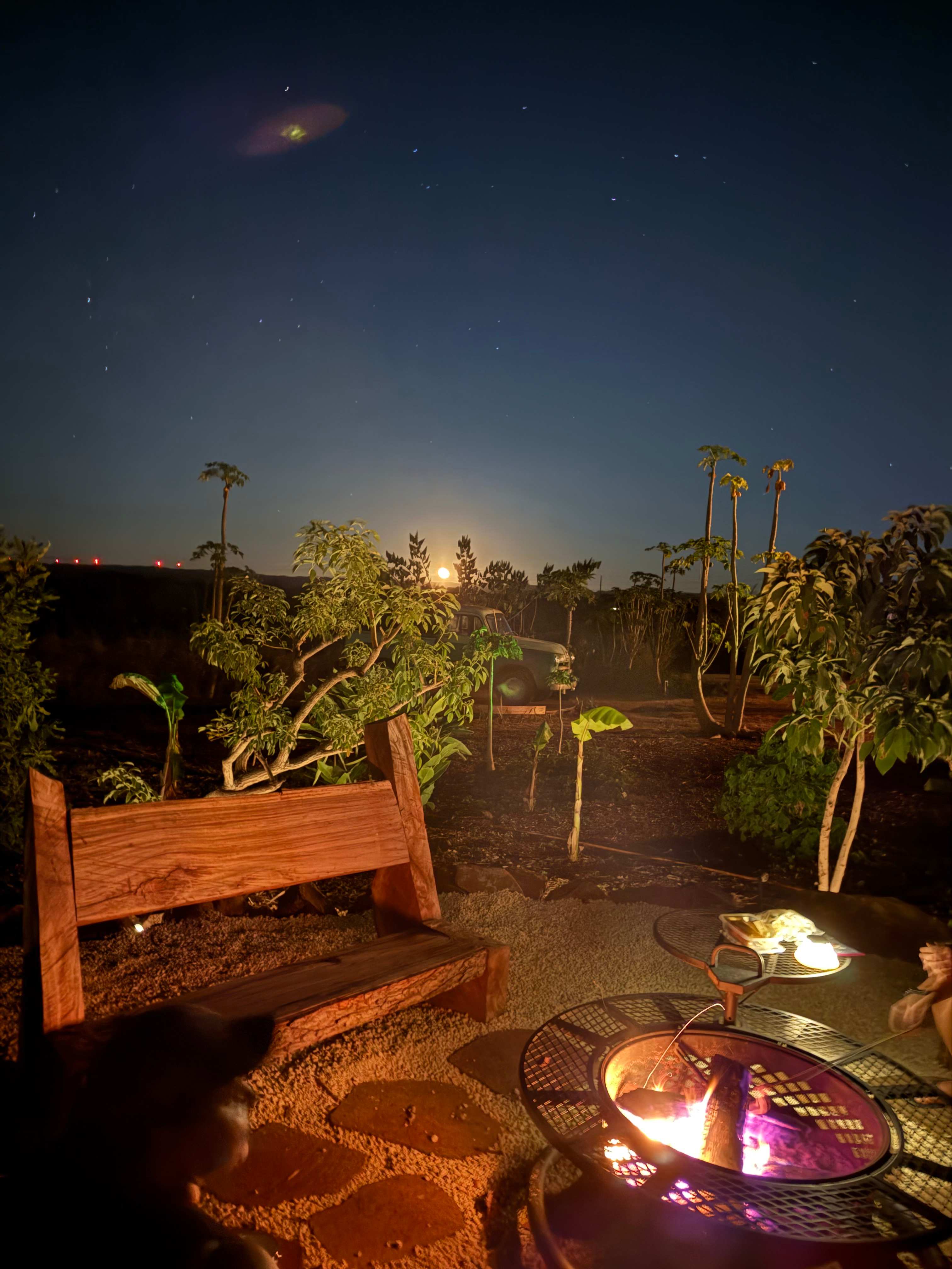 Perfect night out under the stars!