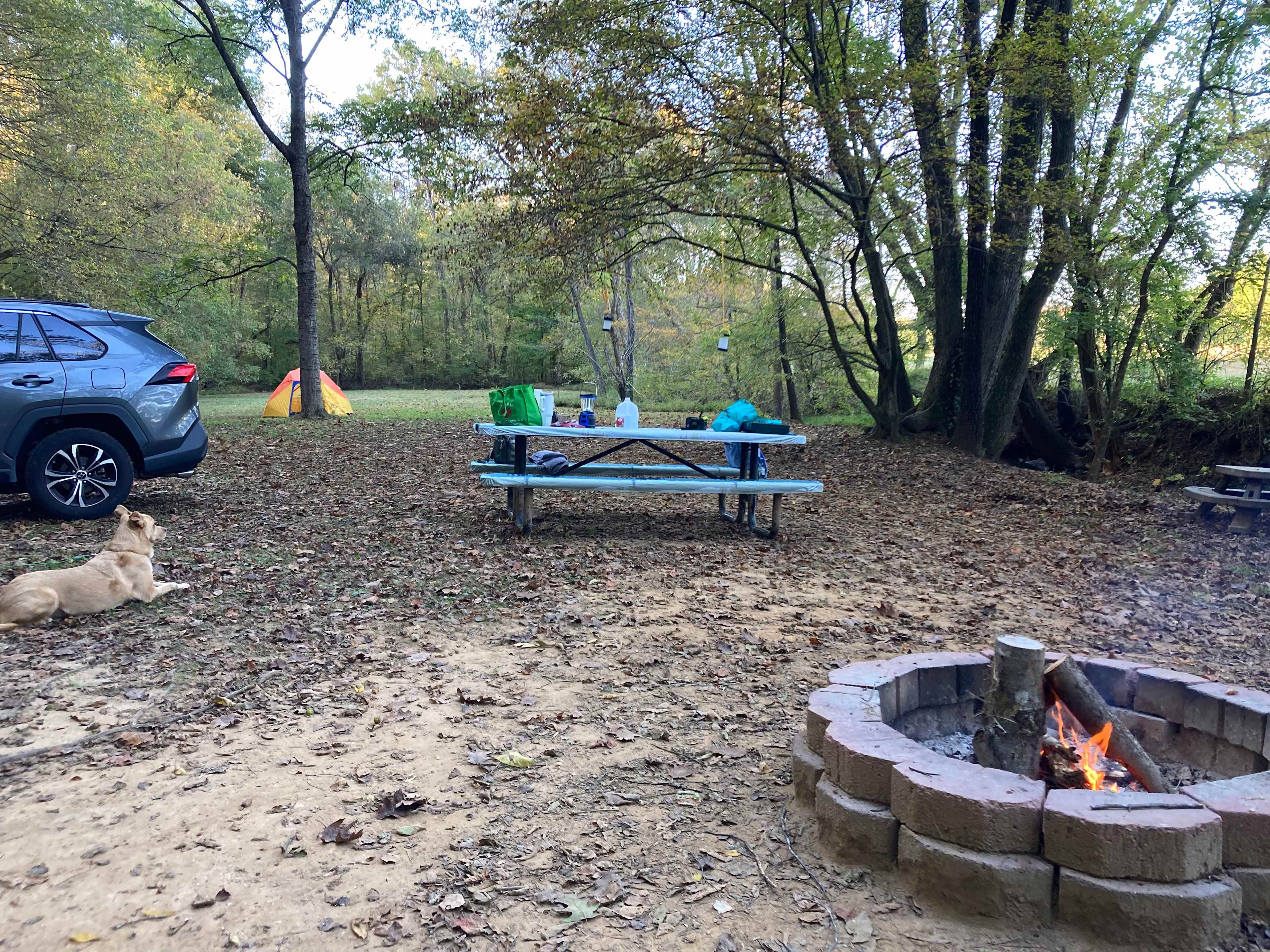 Kohler Farms-A Shire Horse...
