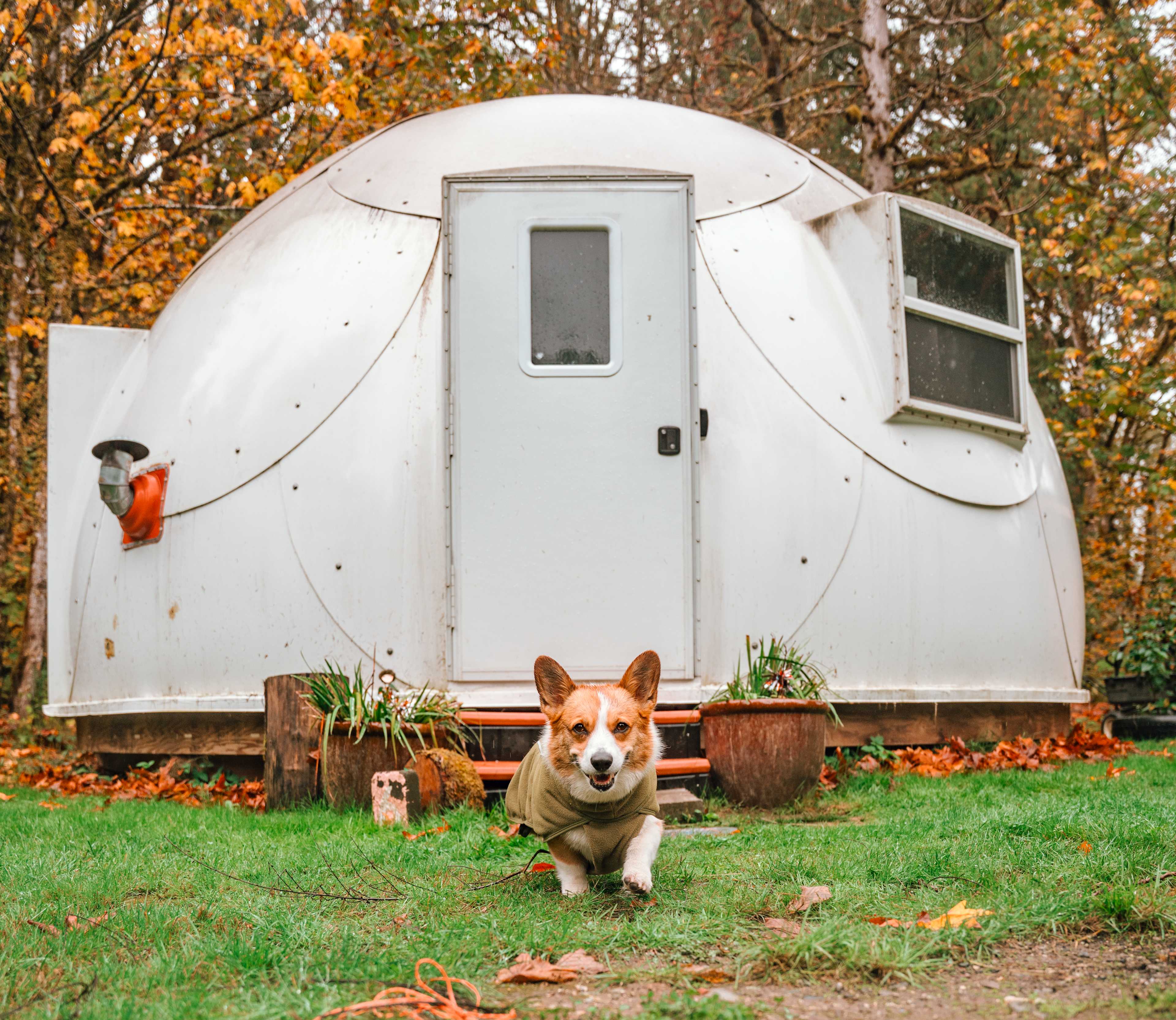 Lil Bit O' Heaven Camping