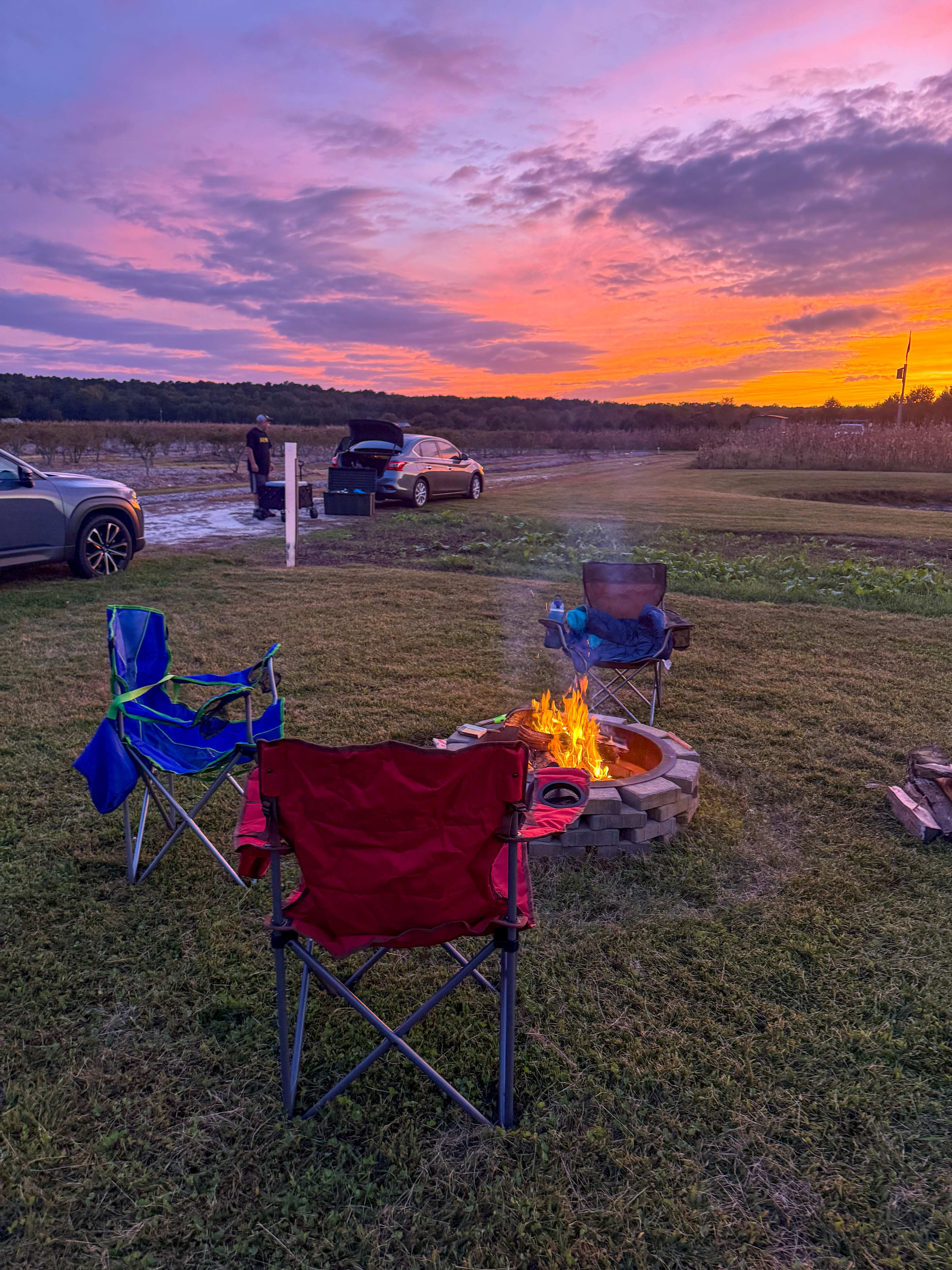 Kingsley Orchards, LLC