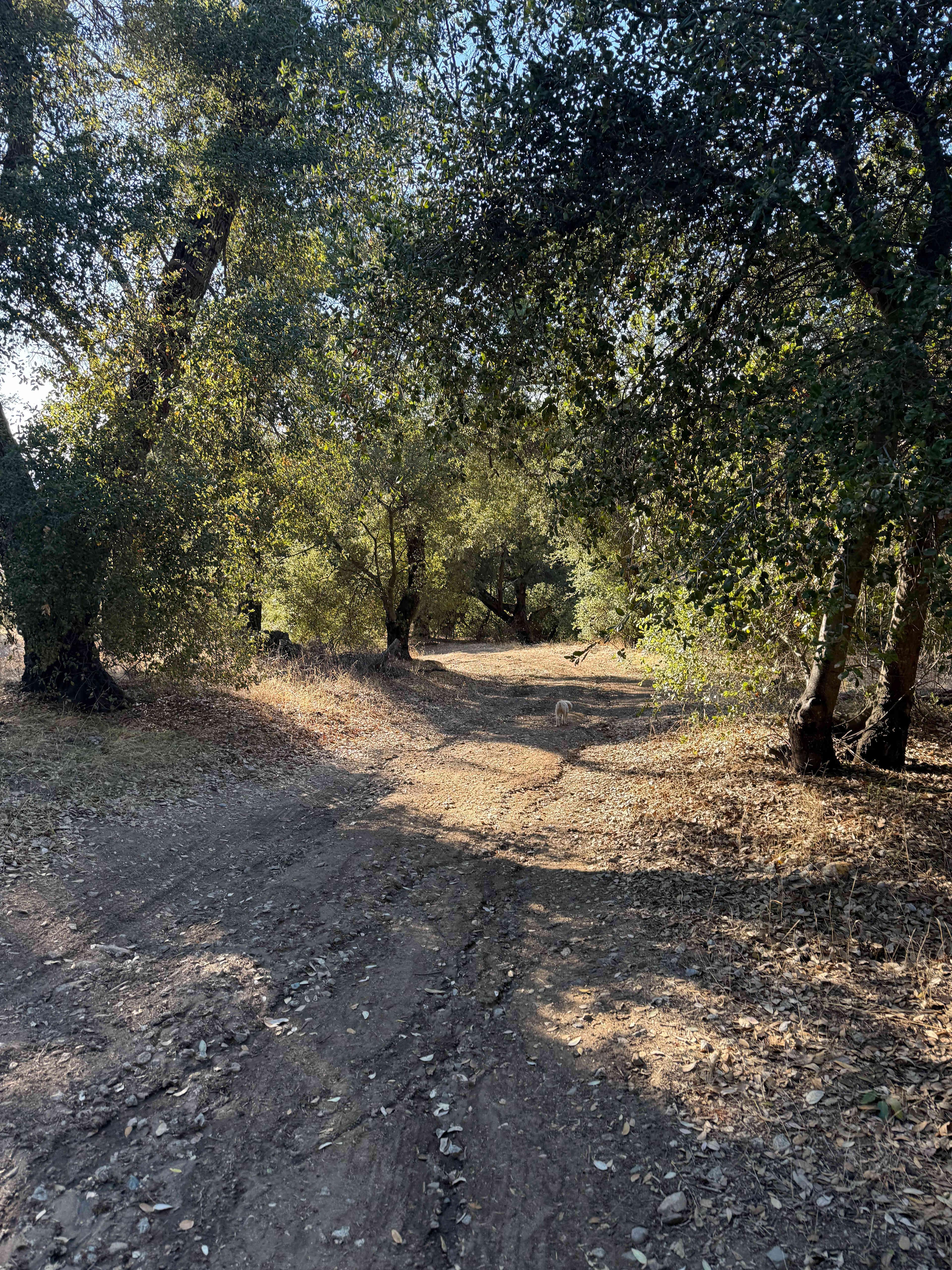 Magical Harrison Serenity Ranch