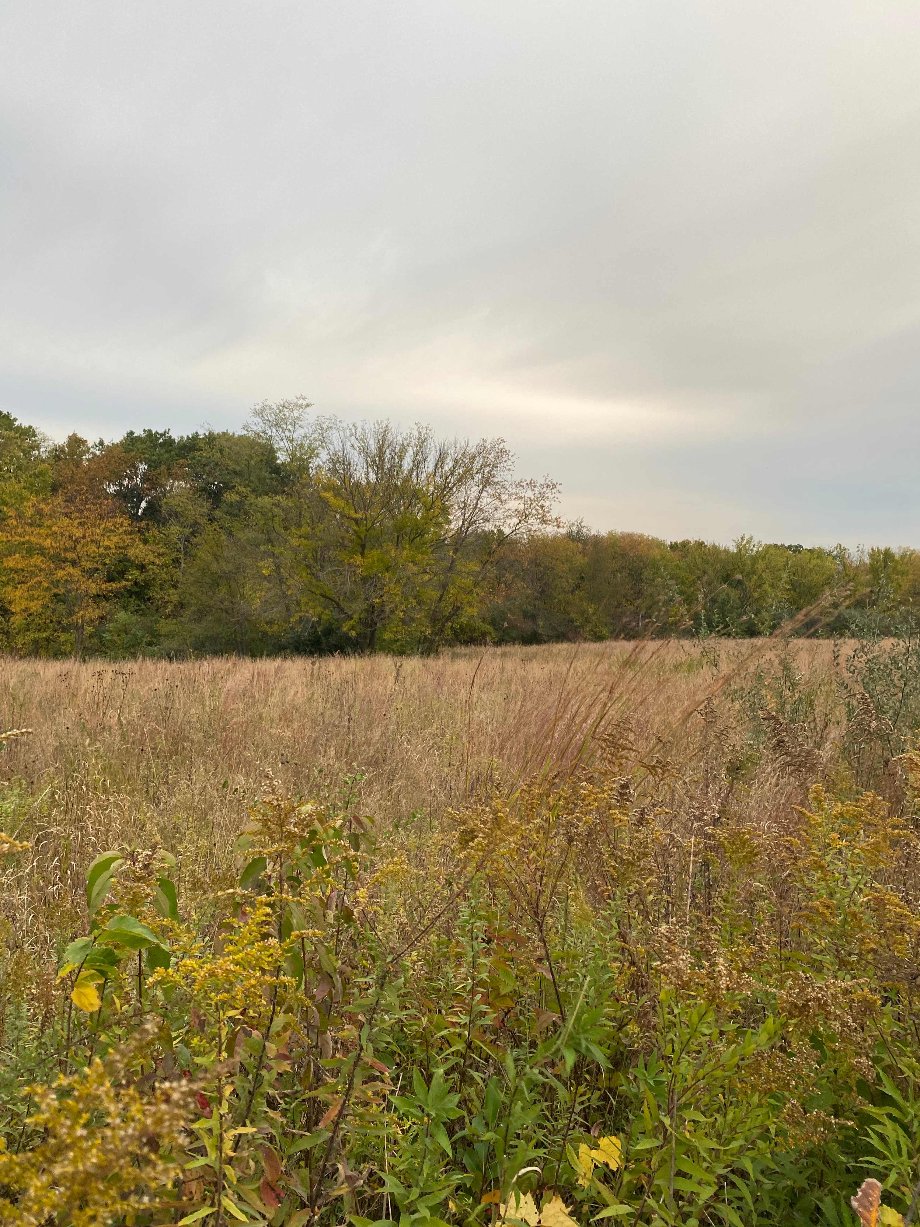 Praire outside camper. 