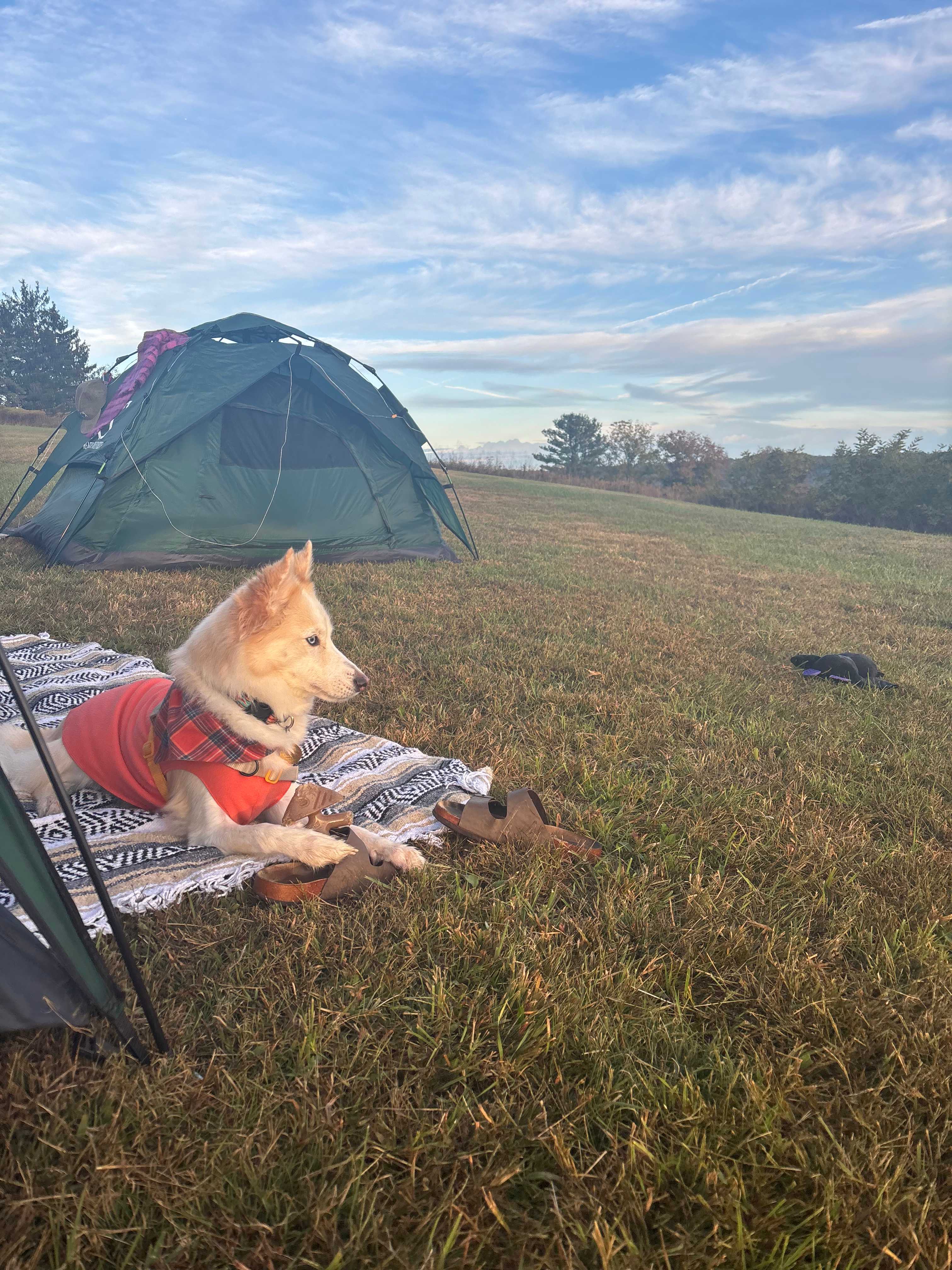 Laurel Highlands Cannabis