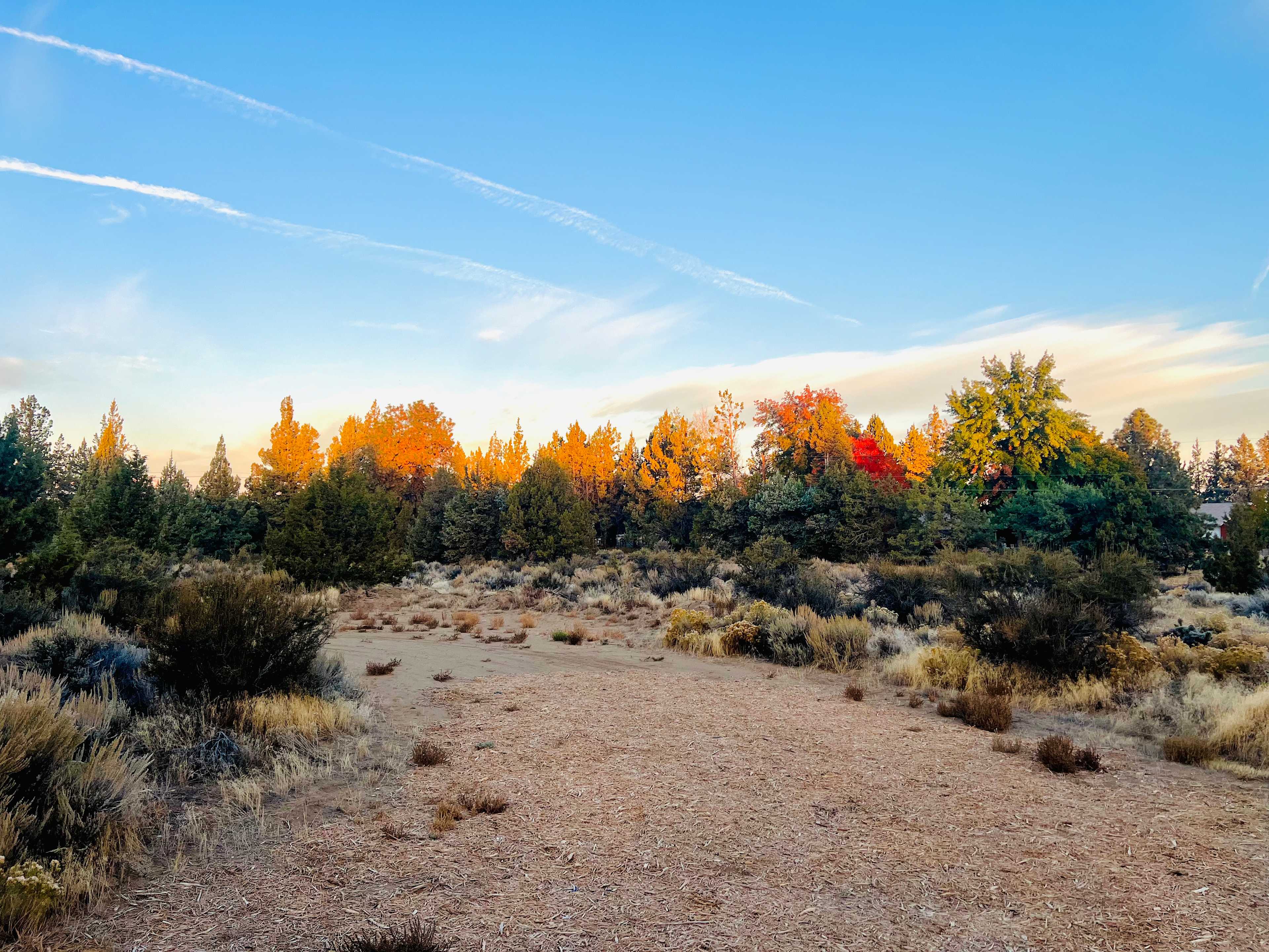 Peaceful morning views