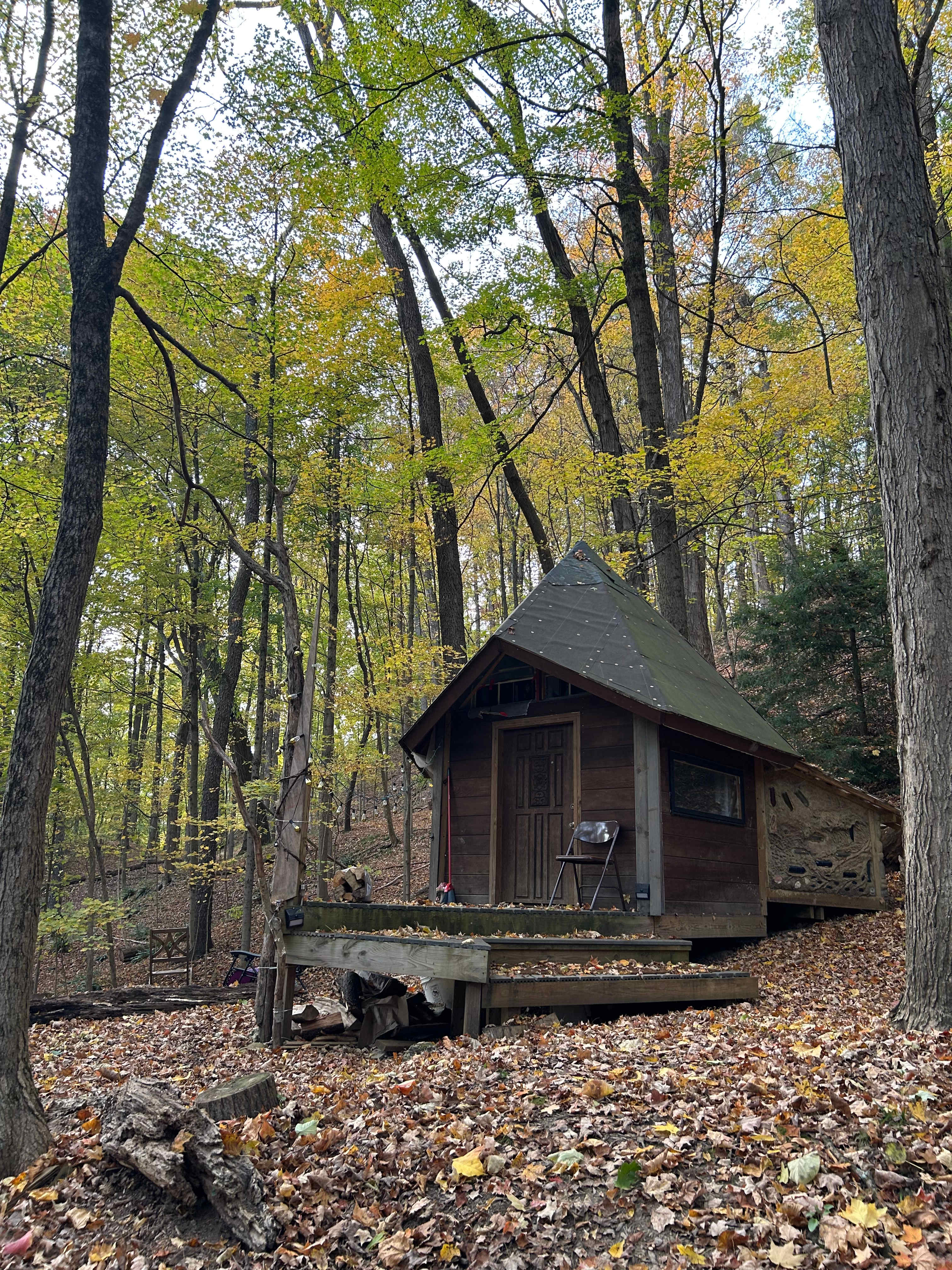 Hemlock & Hobbit Forest
