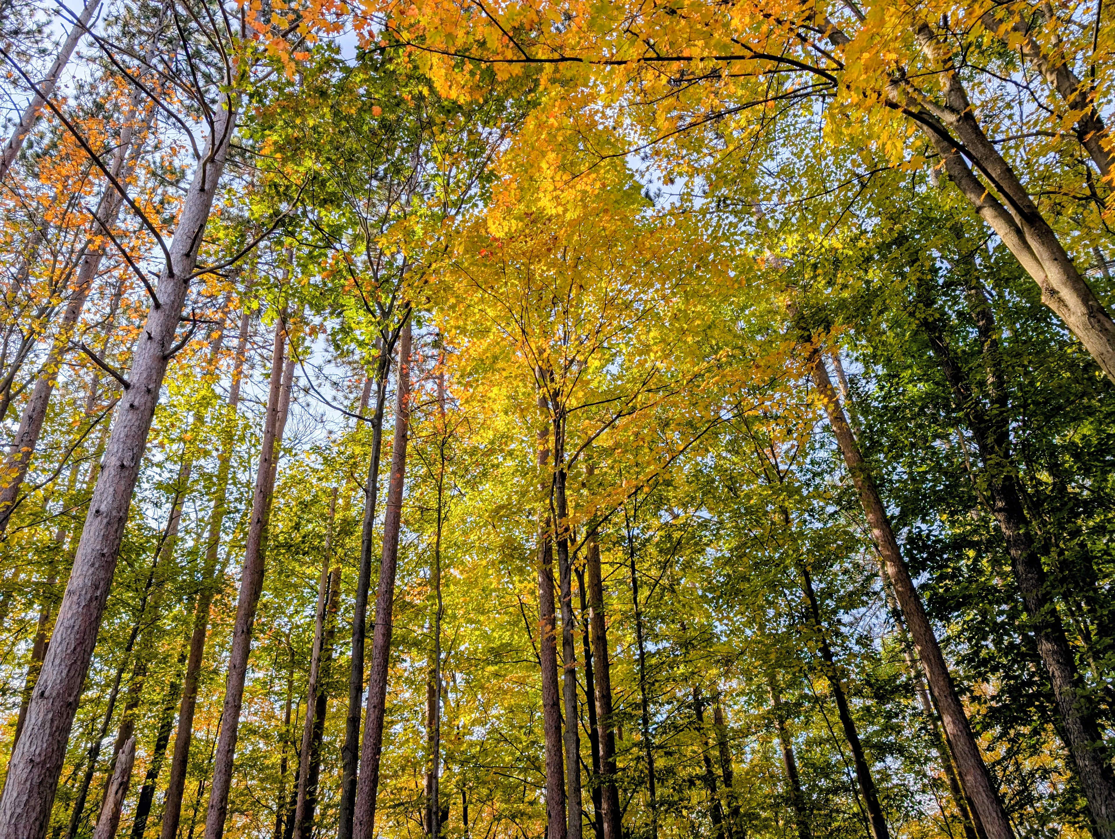 Slateville Farm Secluded Camps
