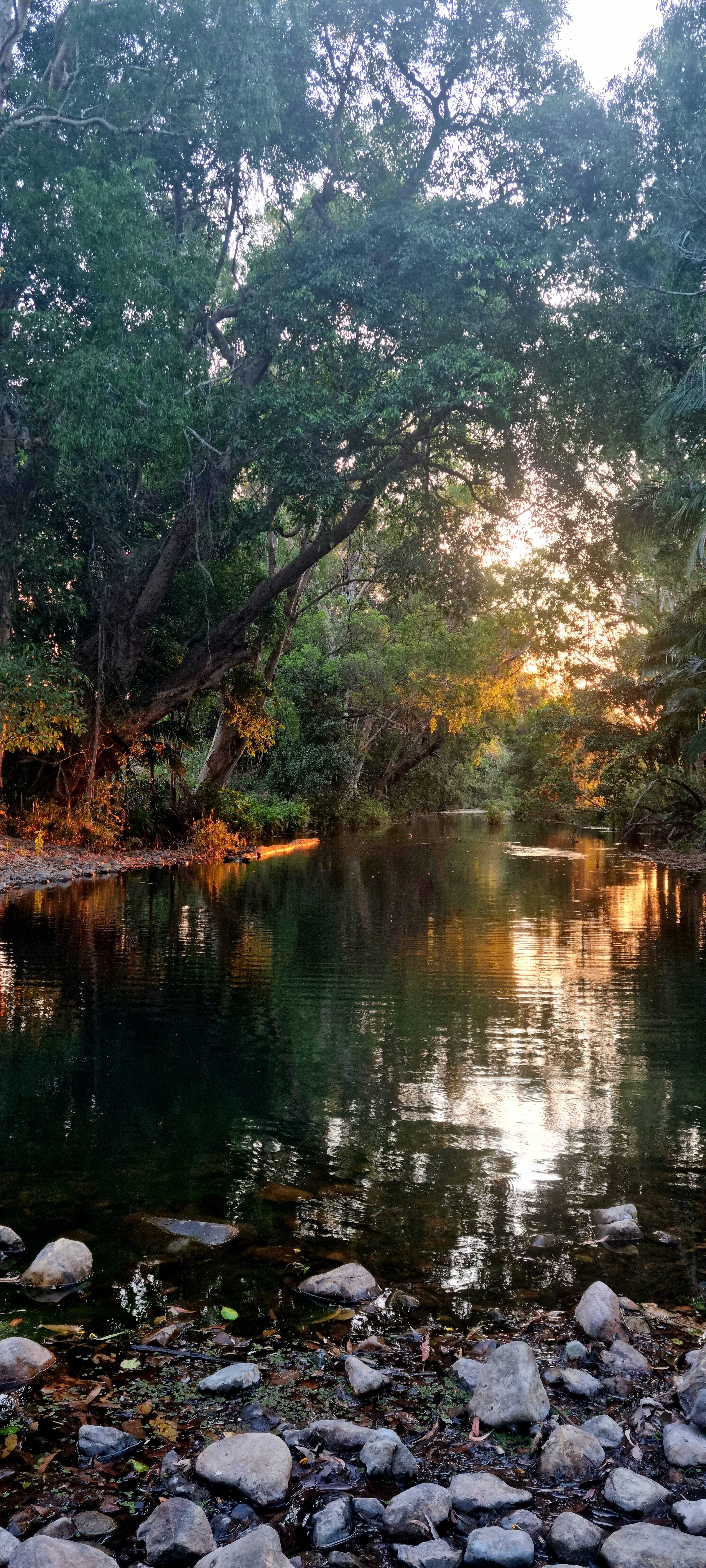 Ilbilbie Station Farm Stay