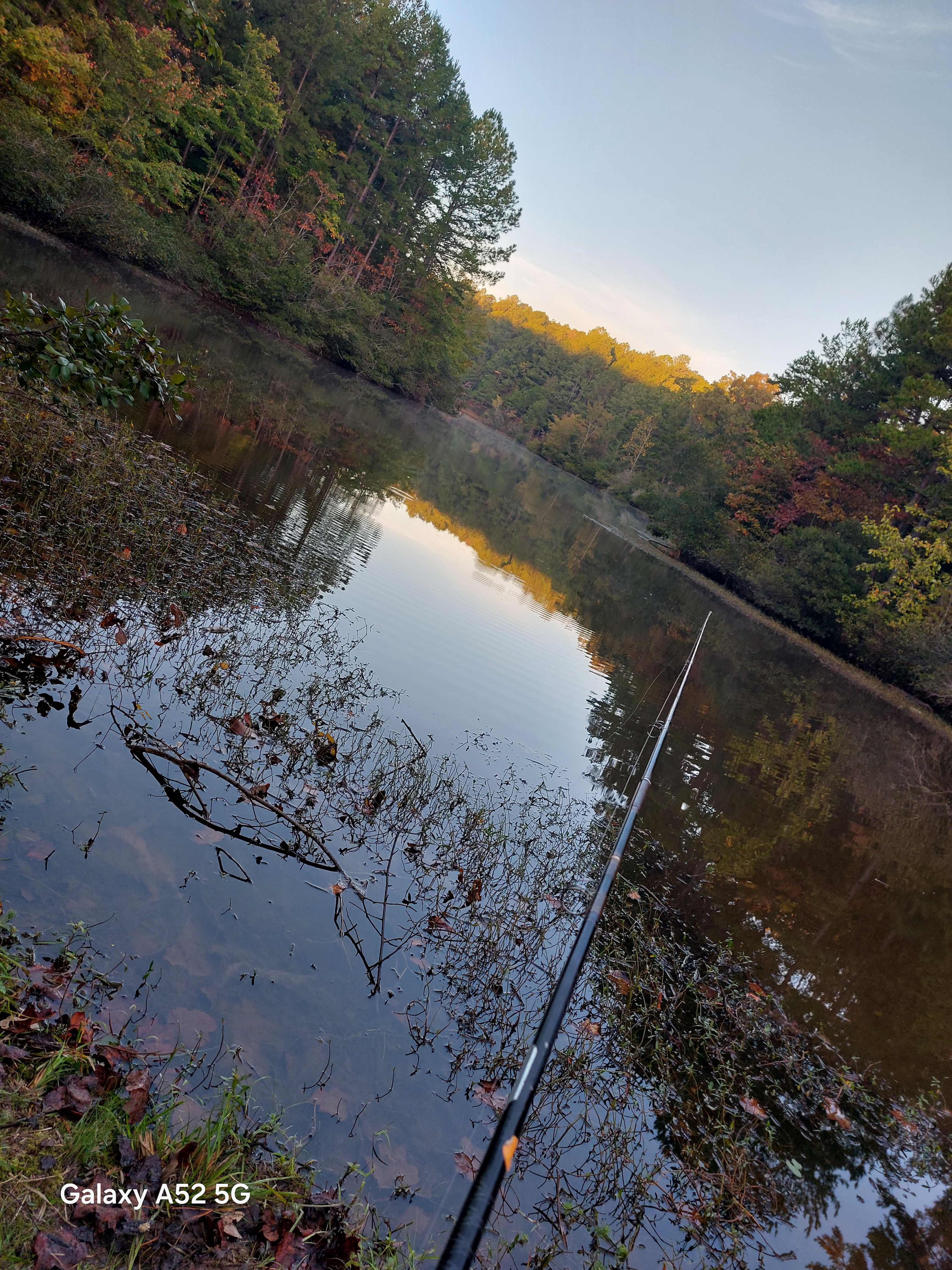 Lavender & Lore Farms Campsite