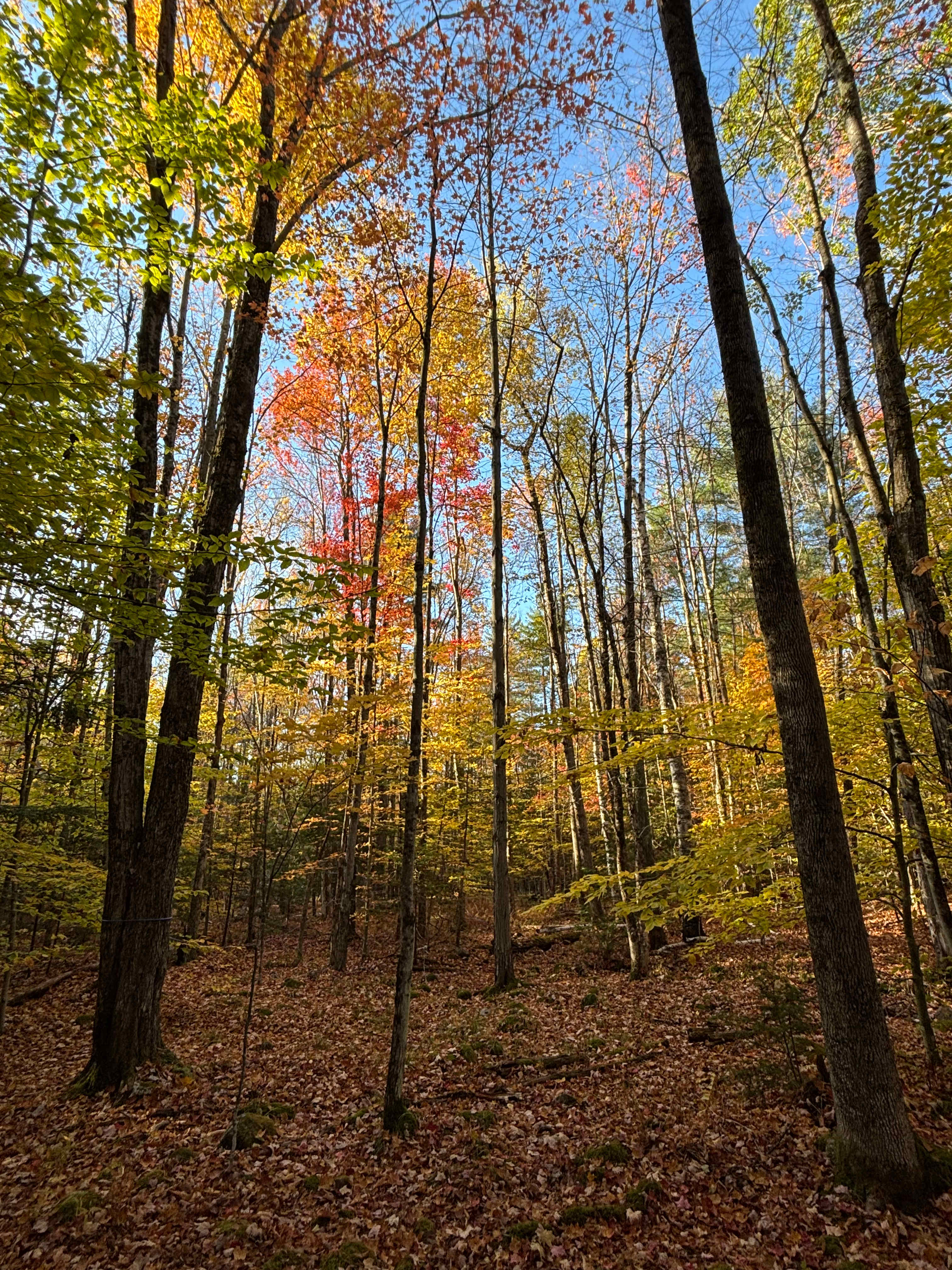 Camp TedRock  Adirondack Retreat