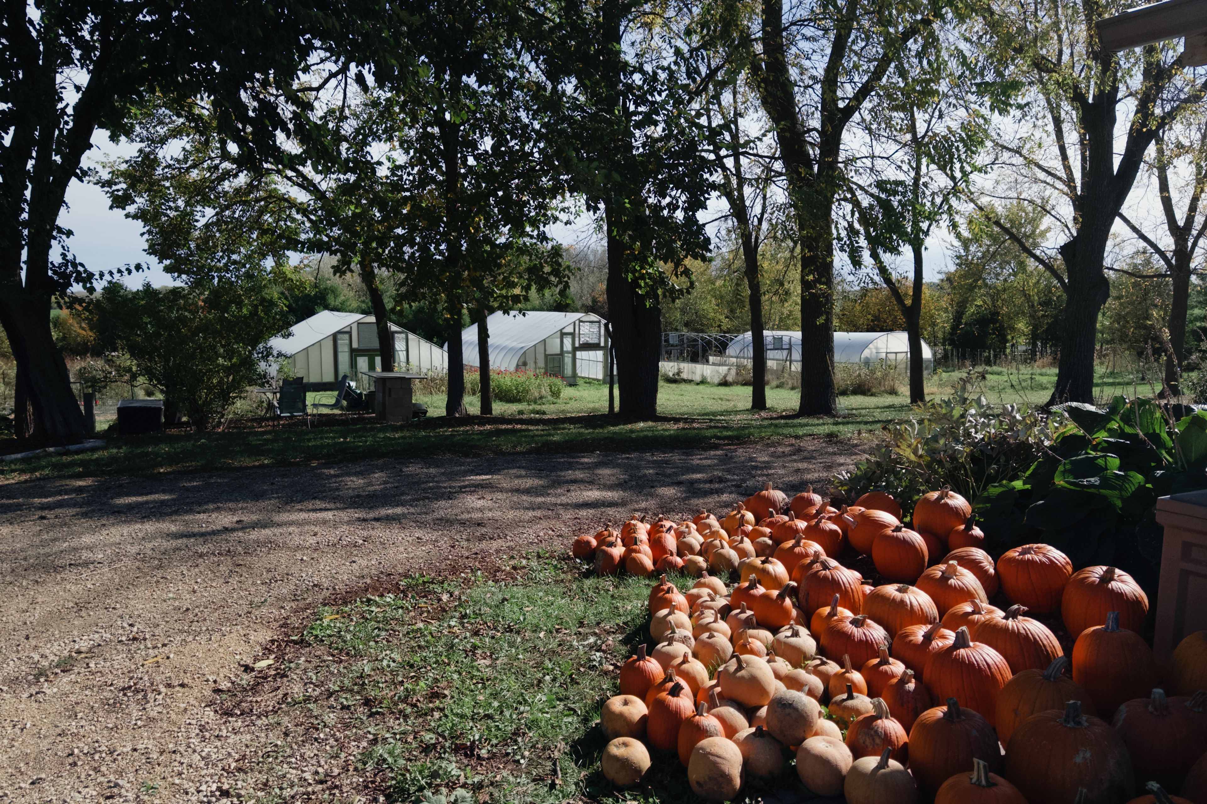 Terra Growers Organic Farm