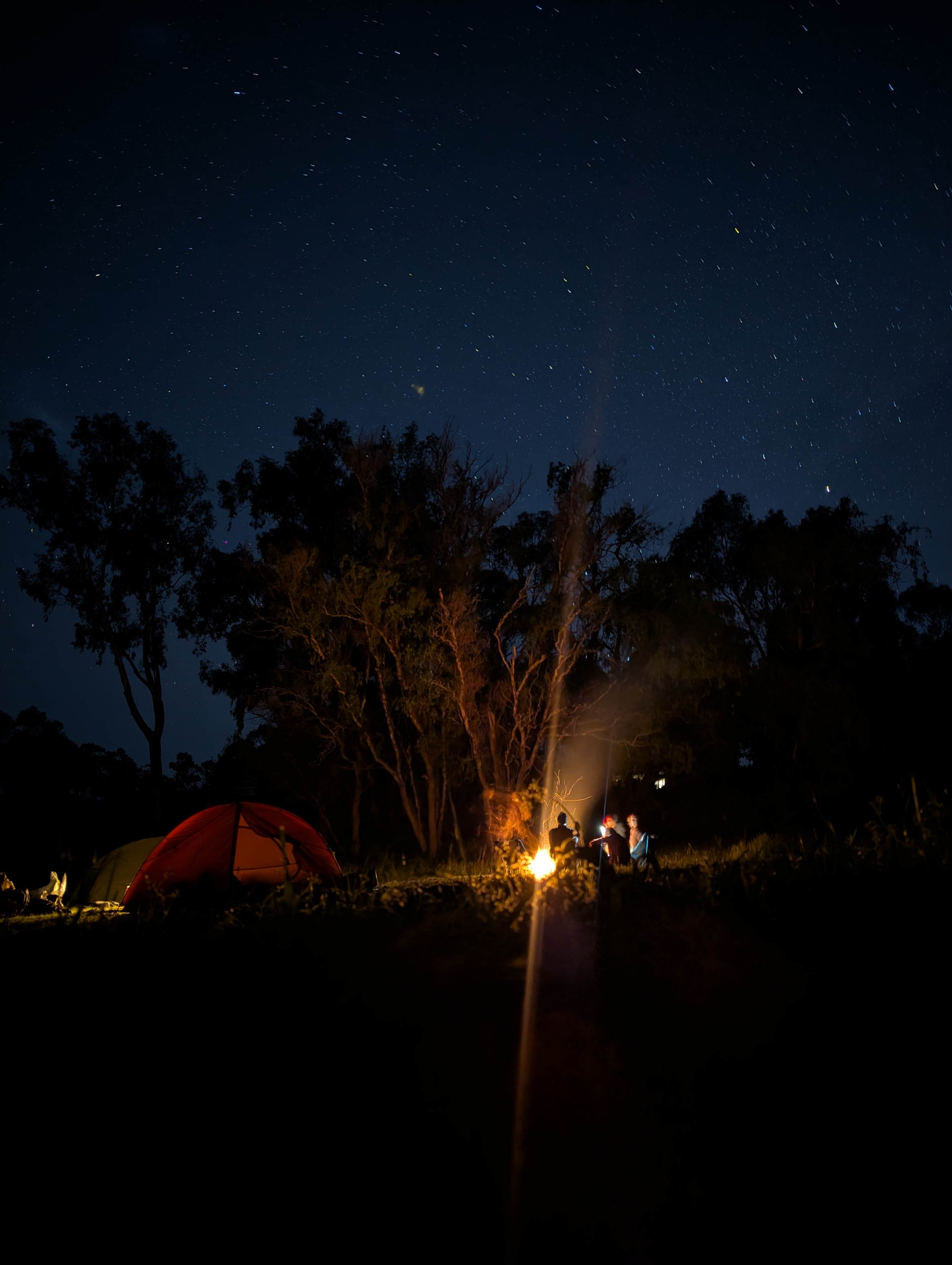 Willow Glen Alpaca Farm