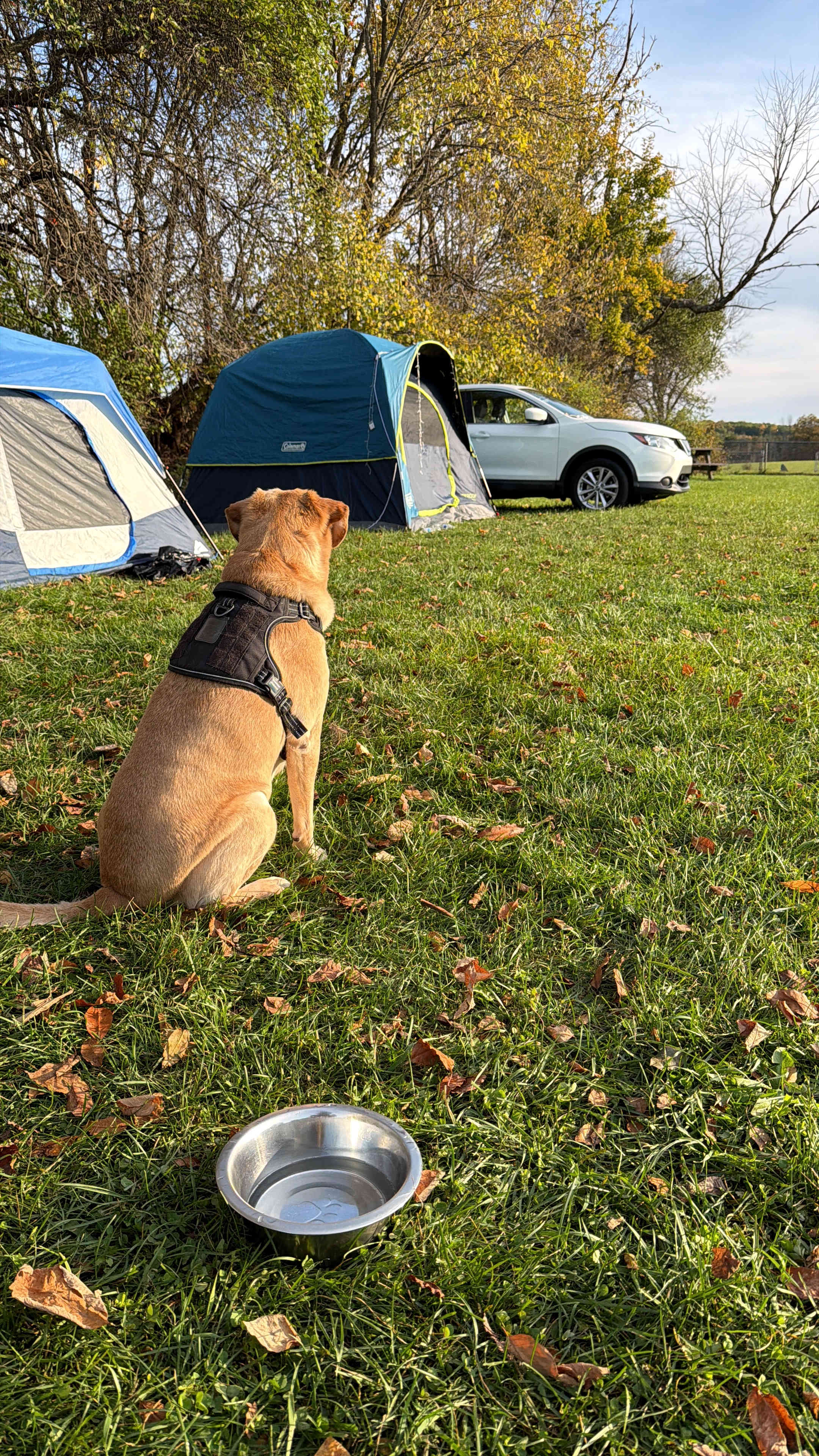 Winn Hill Farms Camping