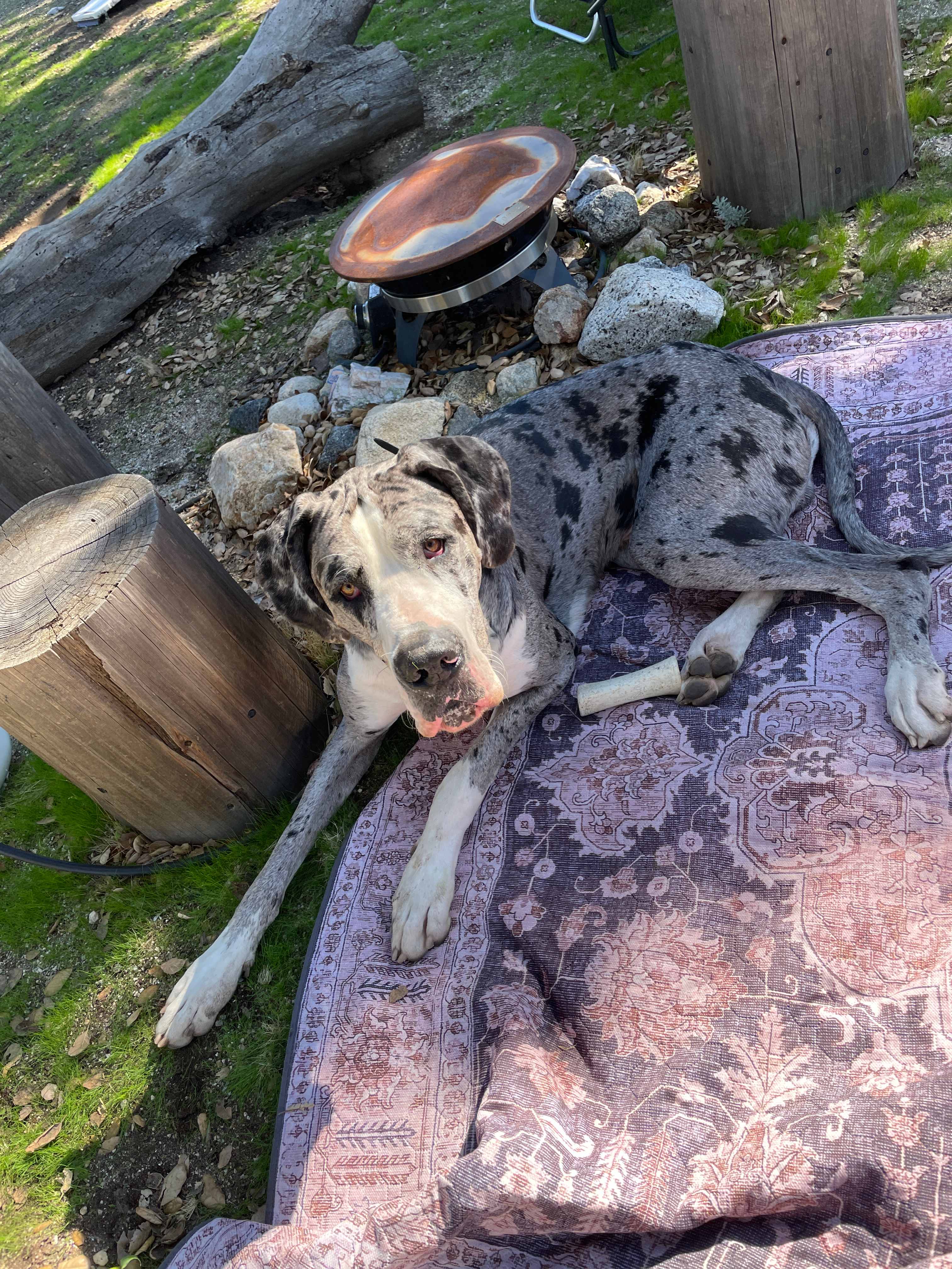 Birdsong Backcountry Retreat