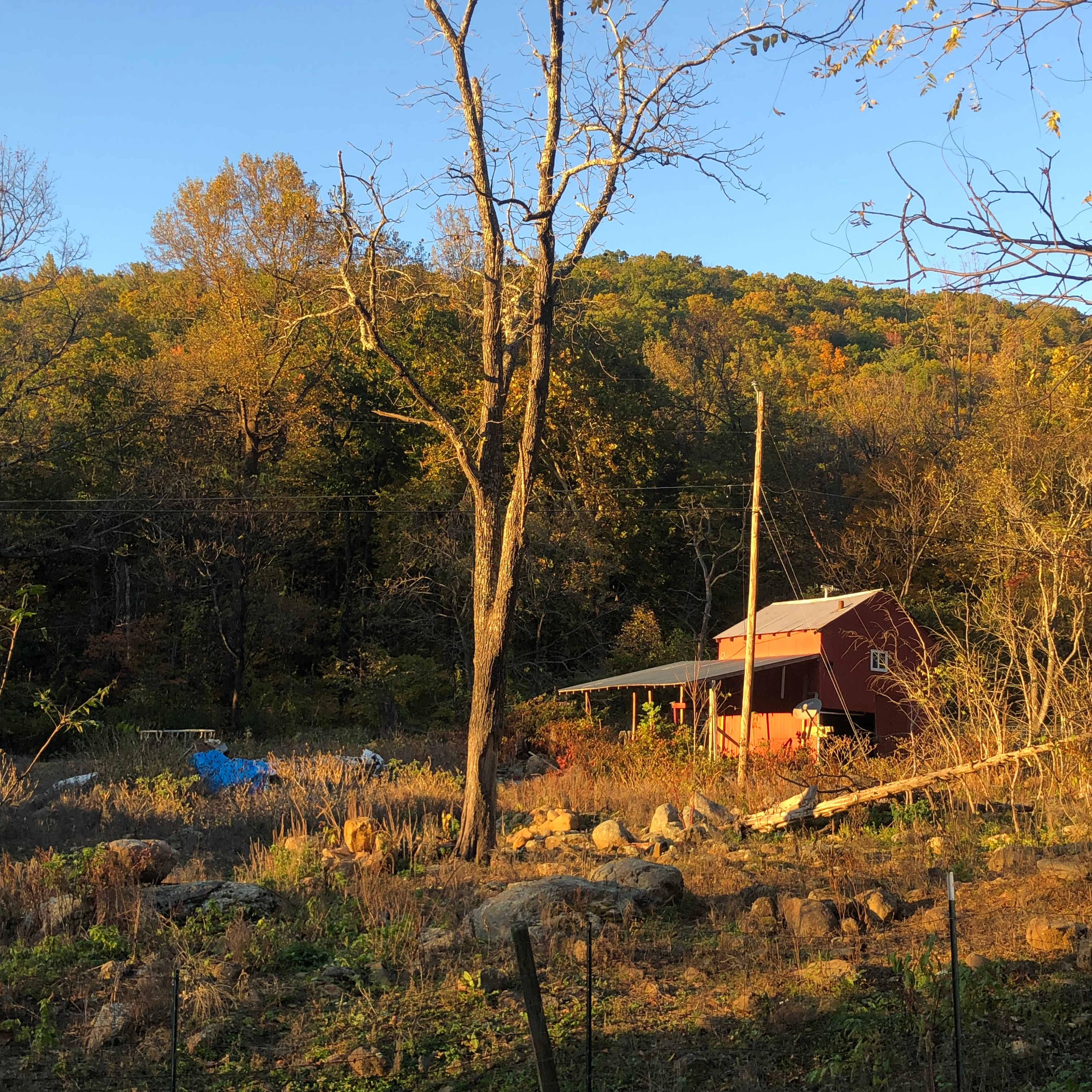 View from the campsite of the pony enclosure 