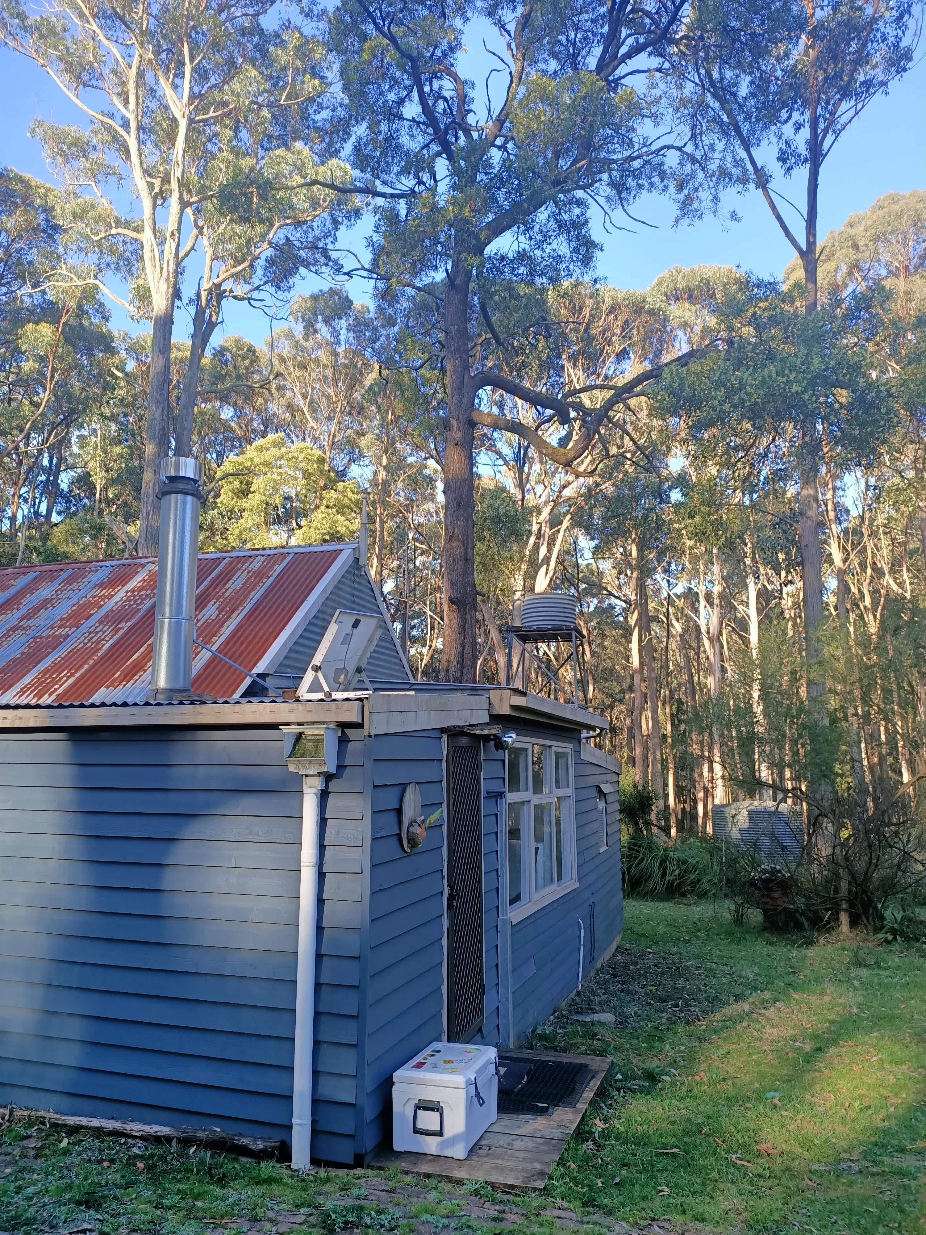 The Forest Cottage- Trentham