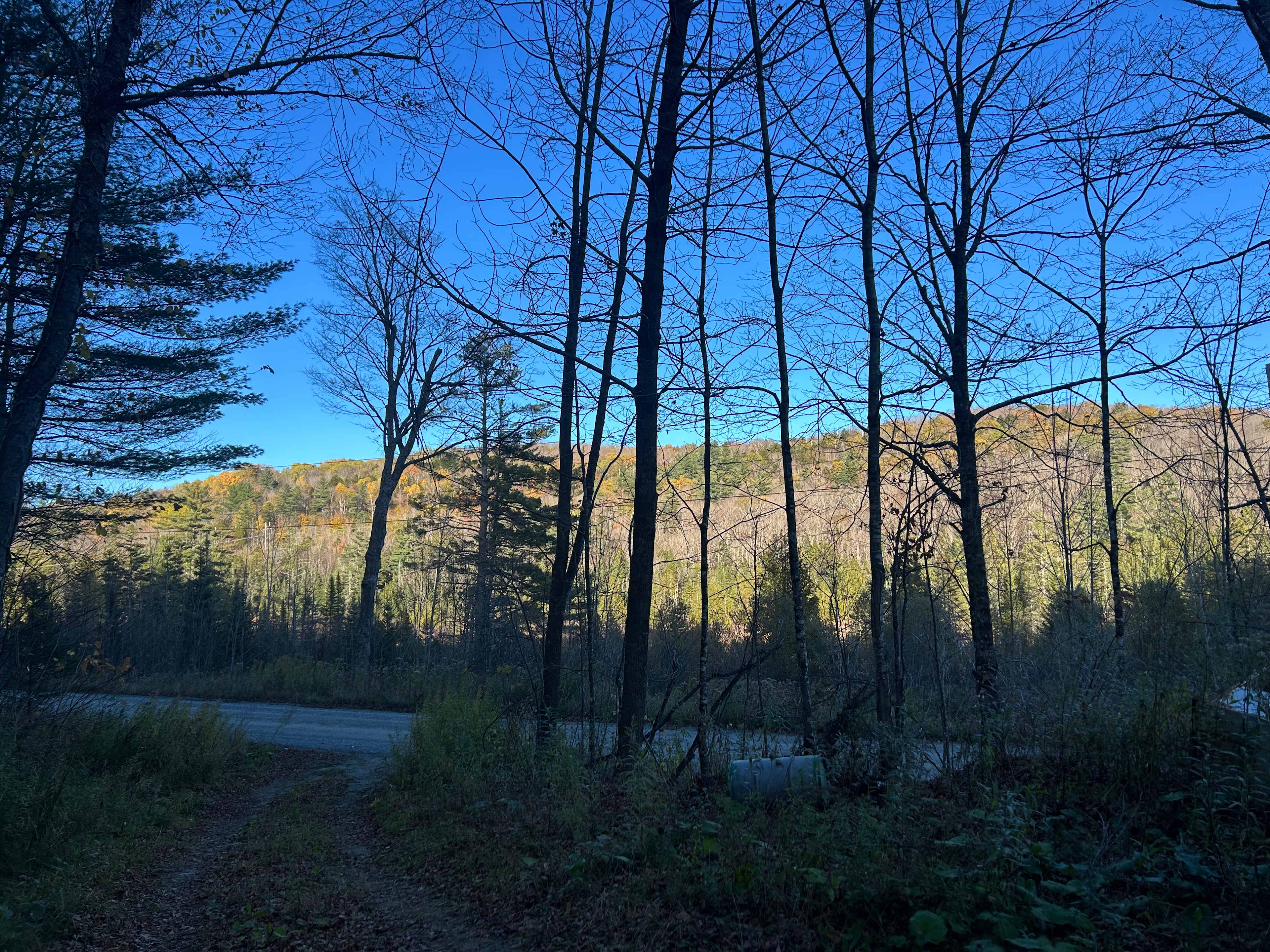 Sugar Mountain Farm & Forest