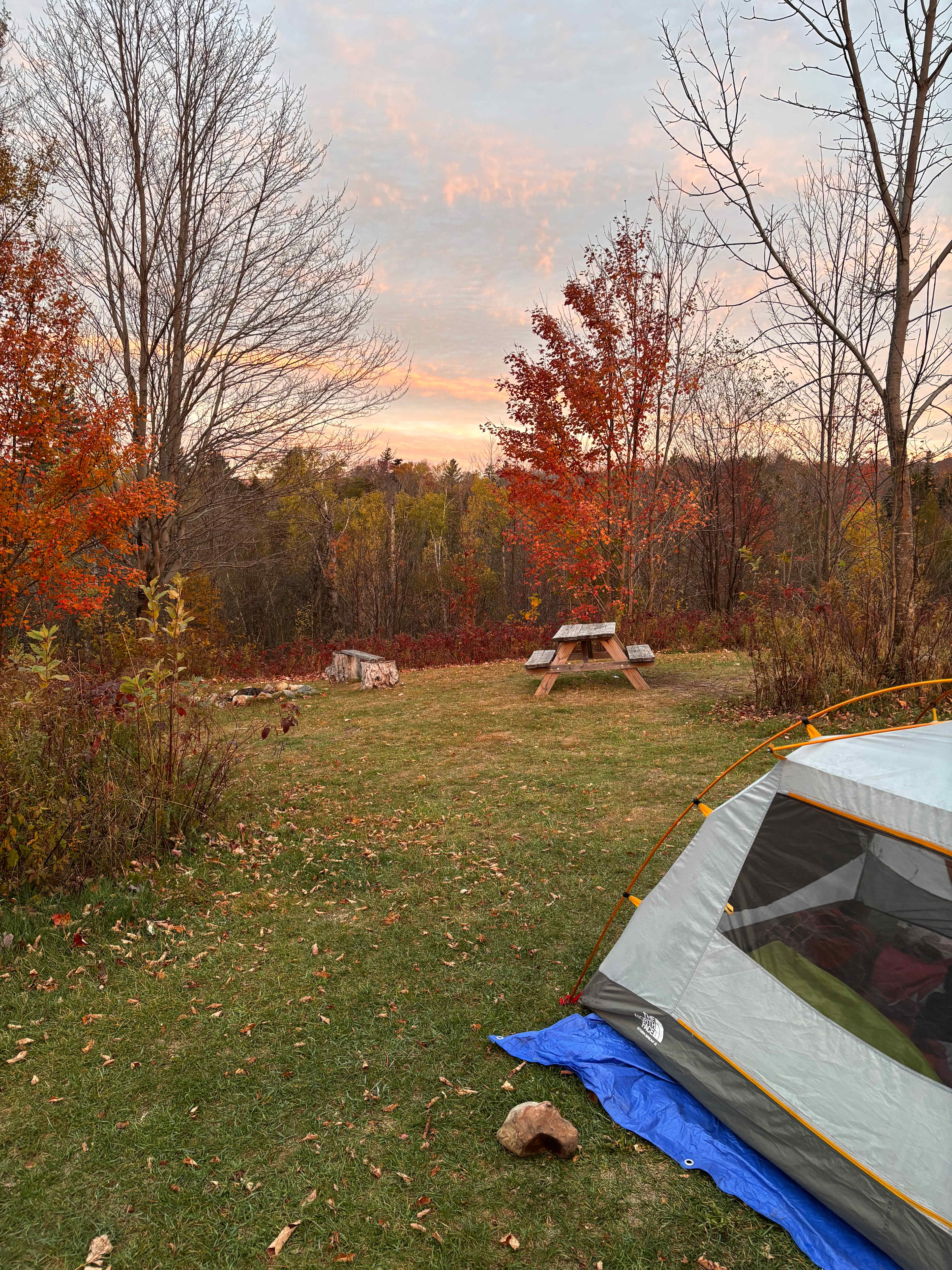 BlueberryHill  Field Camp