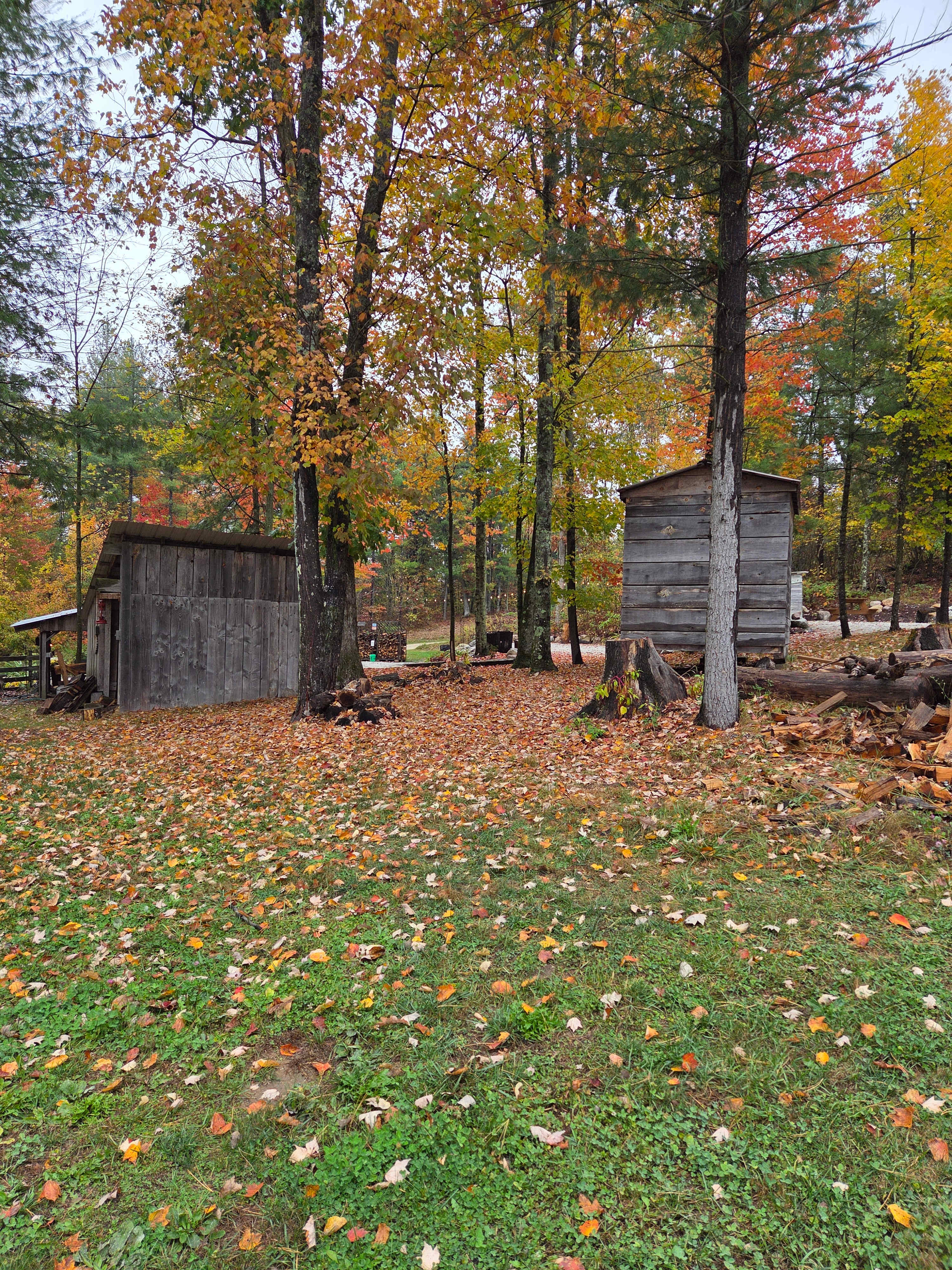 Dragon Adventures Base Camp