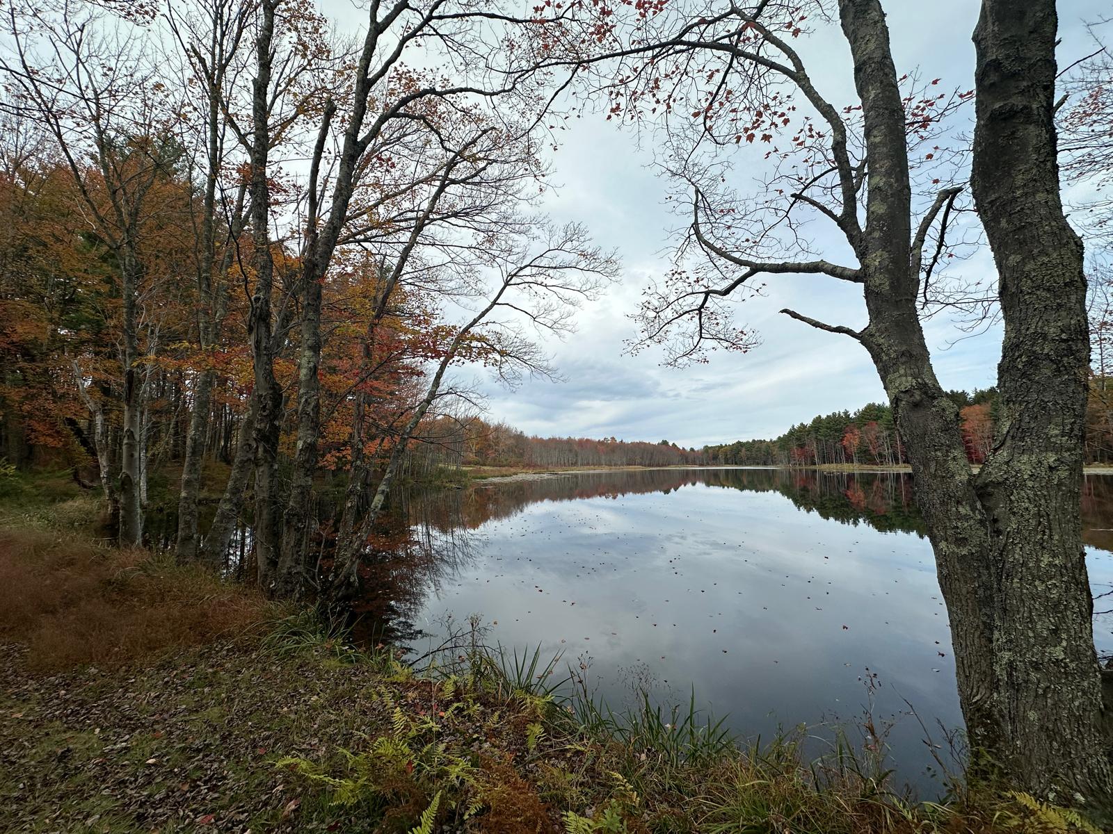 The Dam House At Beaver Pond