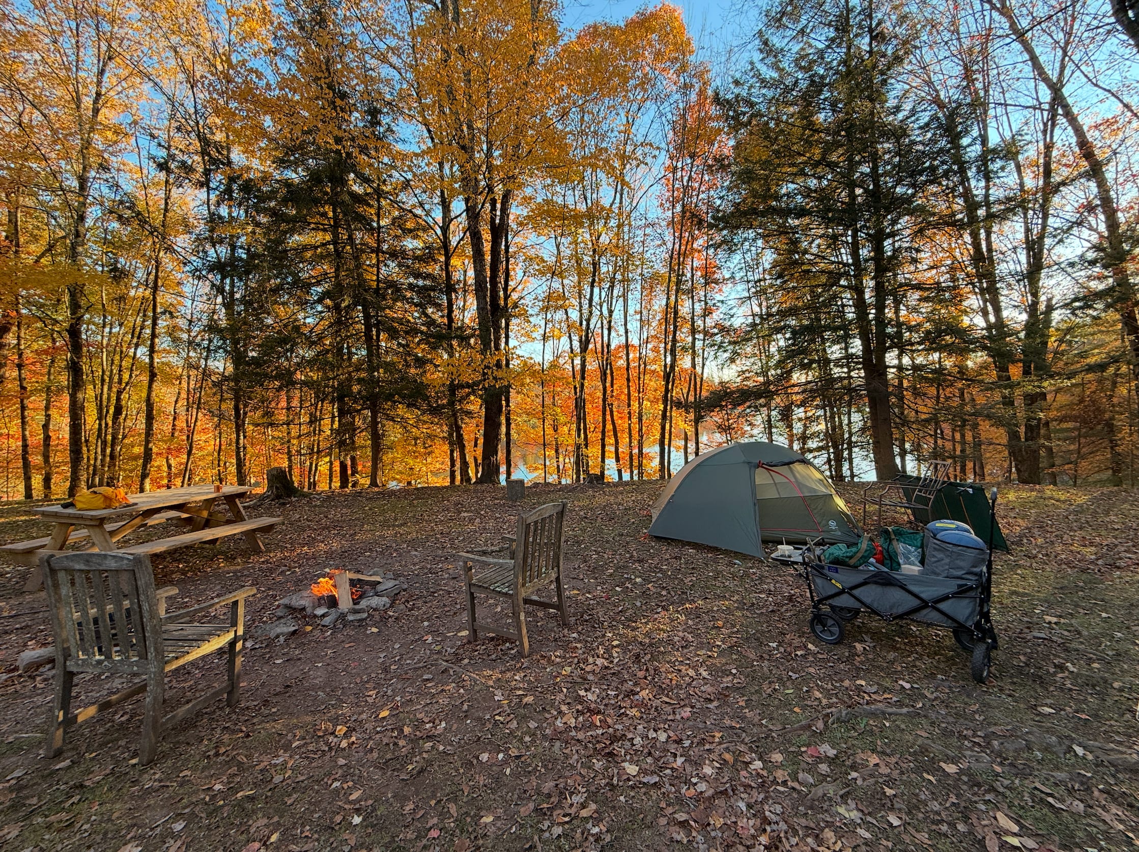 BeaverWood Farm (no children)