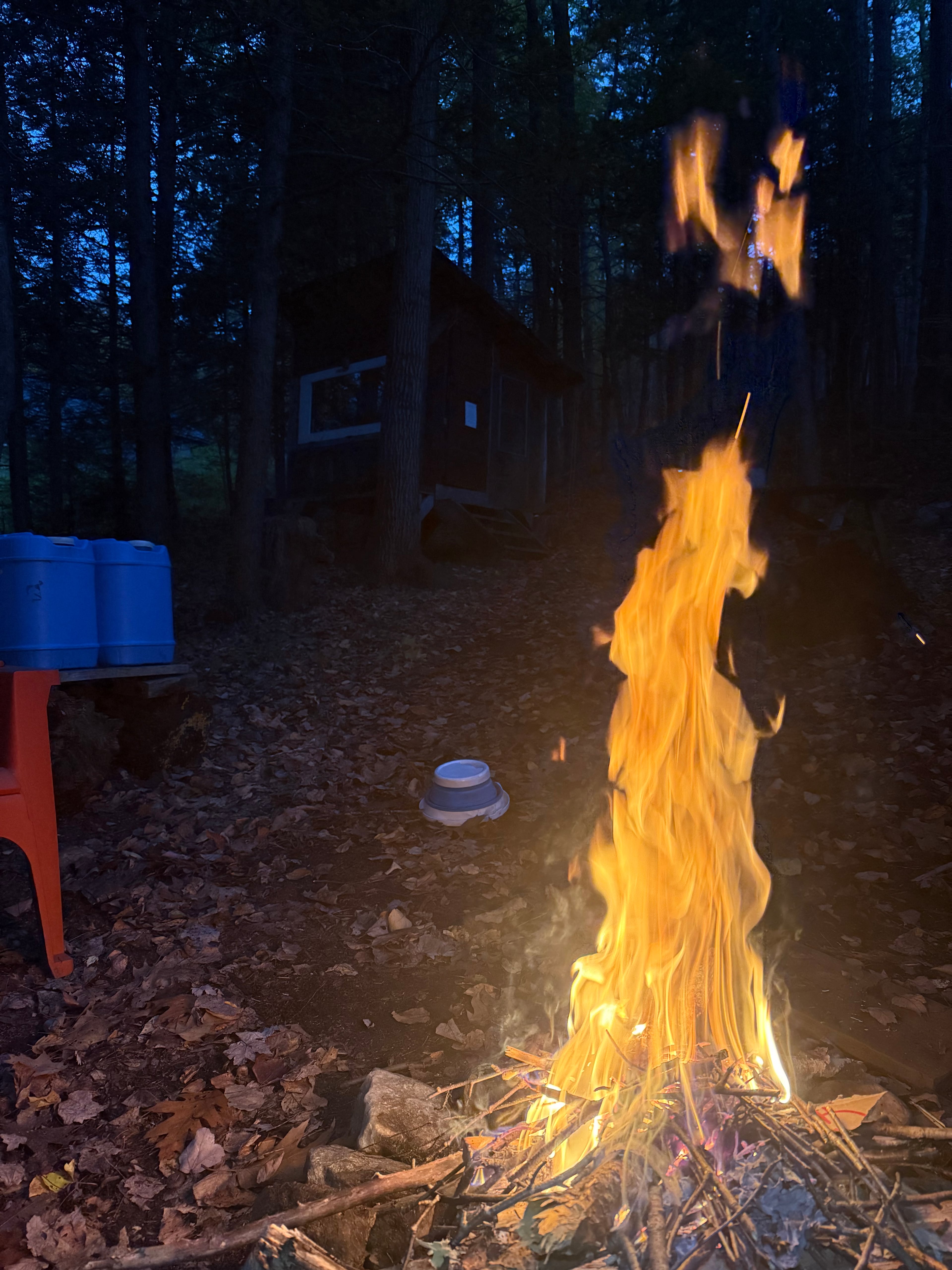 Forest Hut in Western Mass