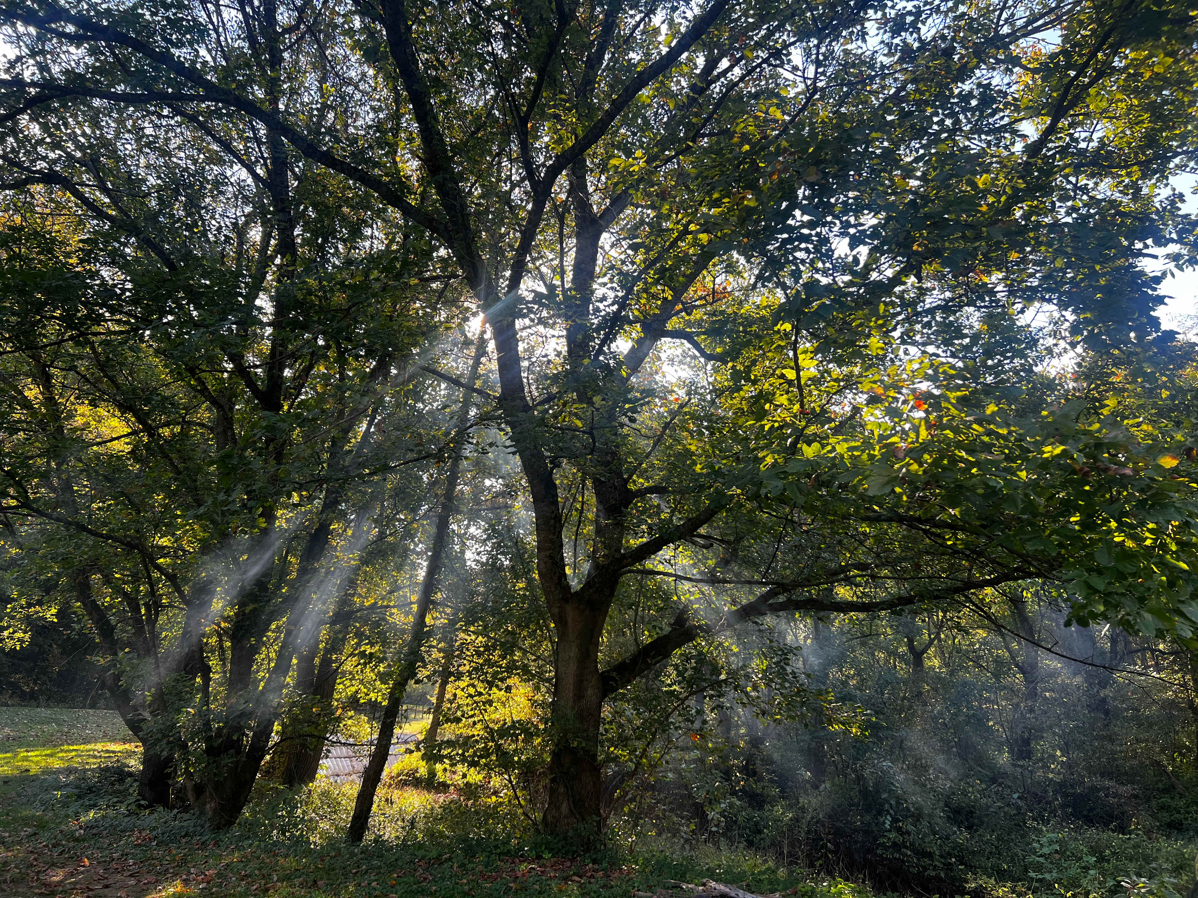 Hidden Valley River Camp