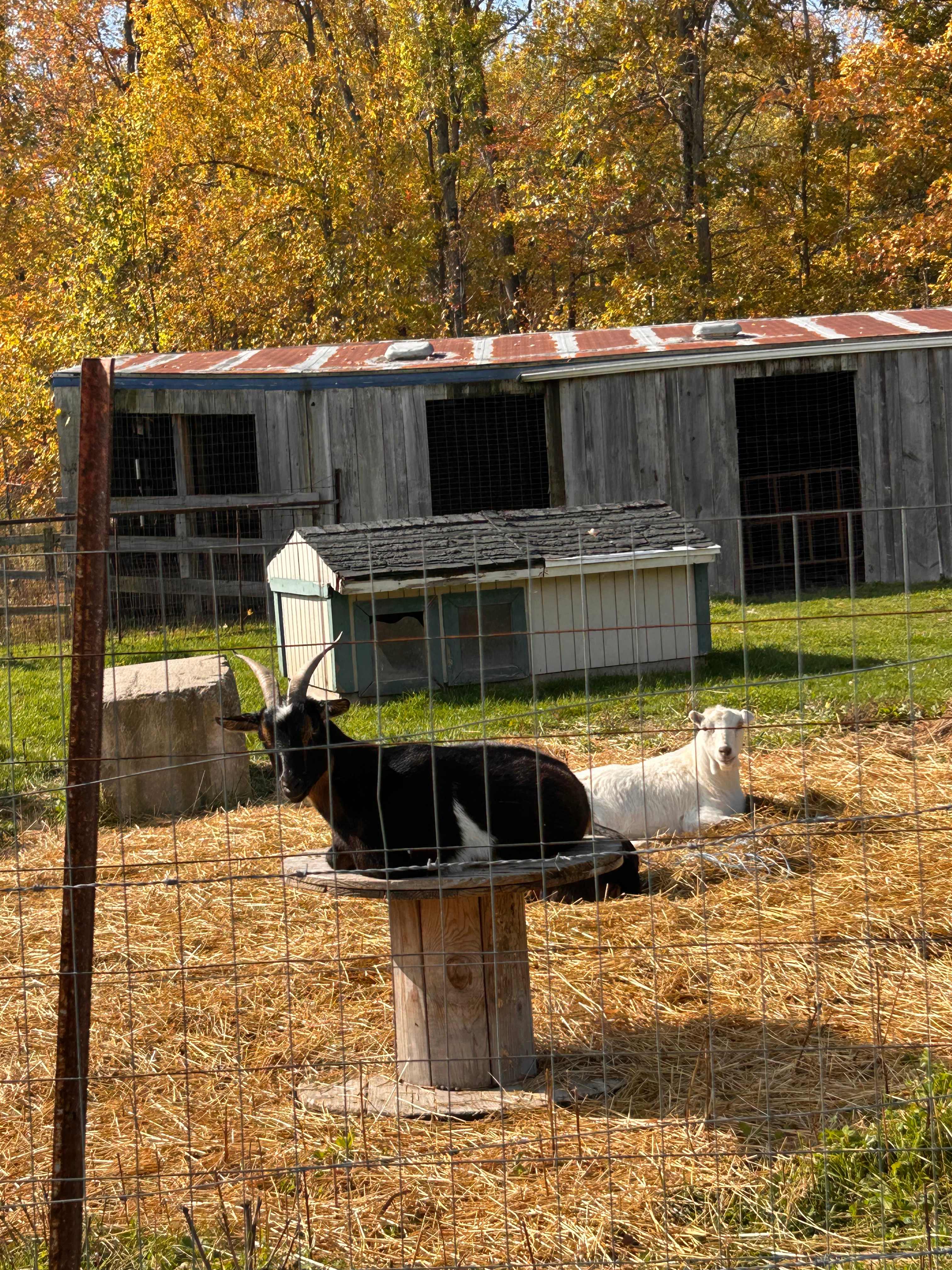 "Elysium Heritage Farm"