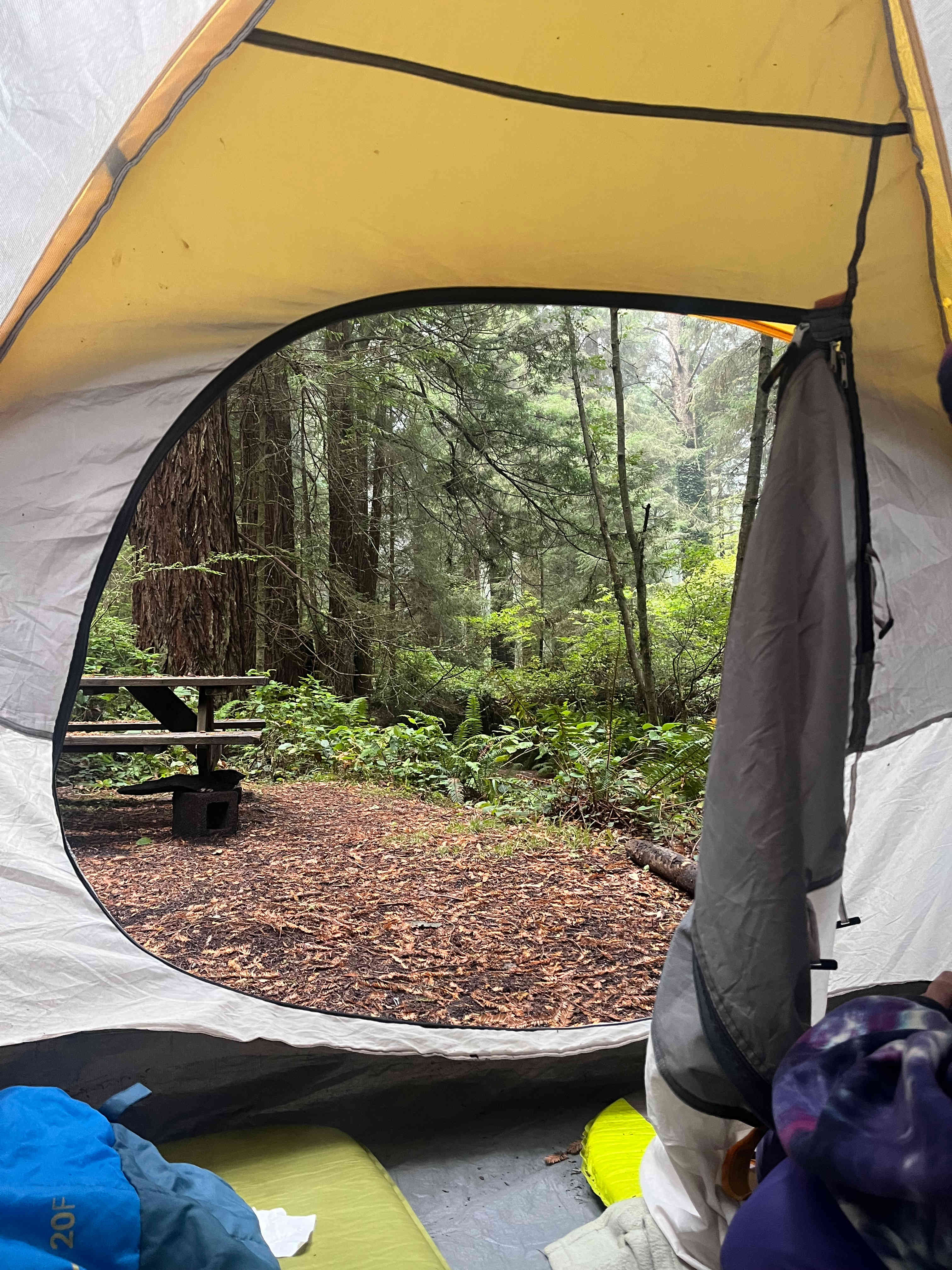 Sylvan Harbor RV Camp & Cabins