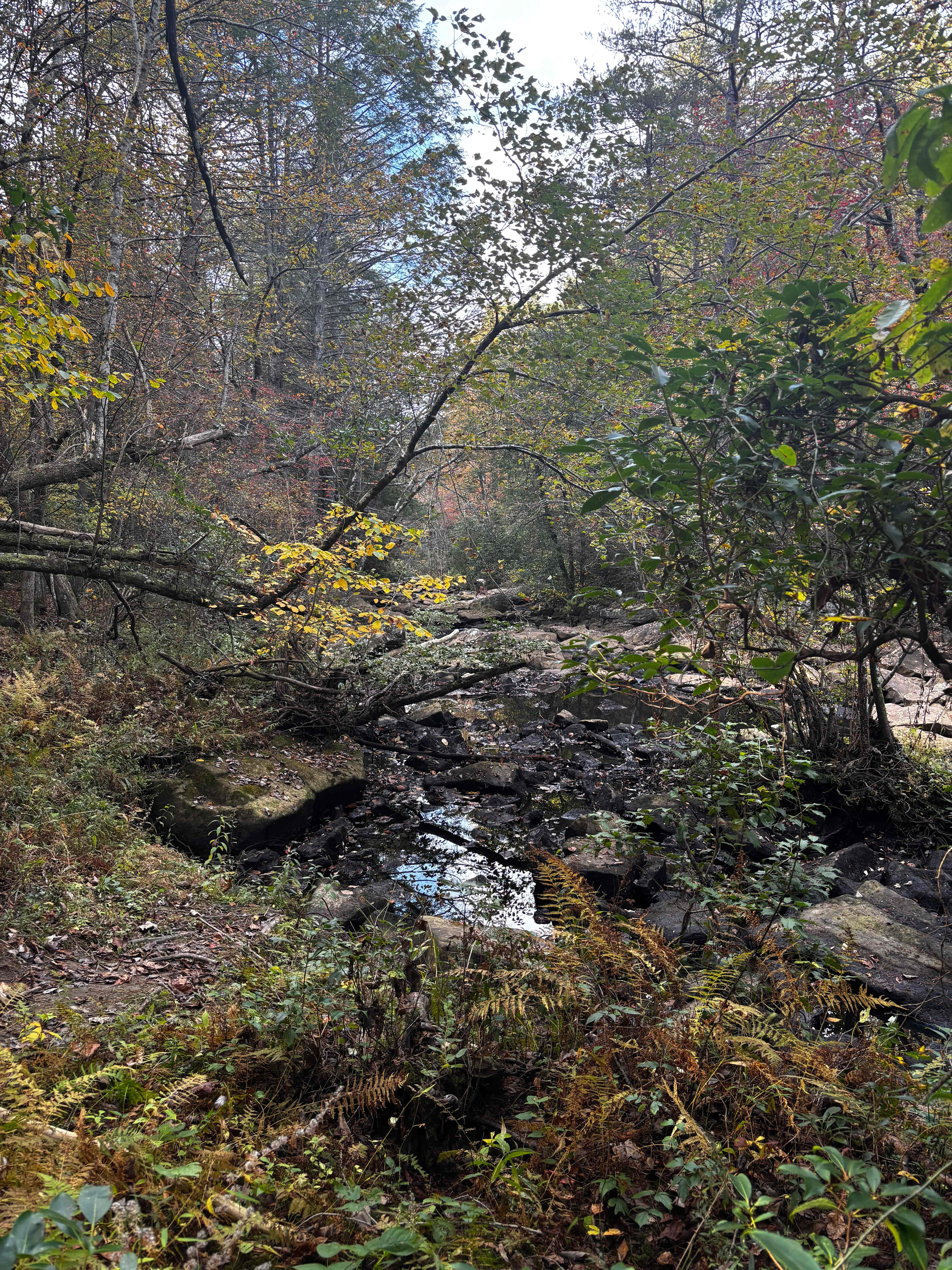 Hammock’Sway Private Off Grid Camp