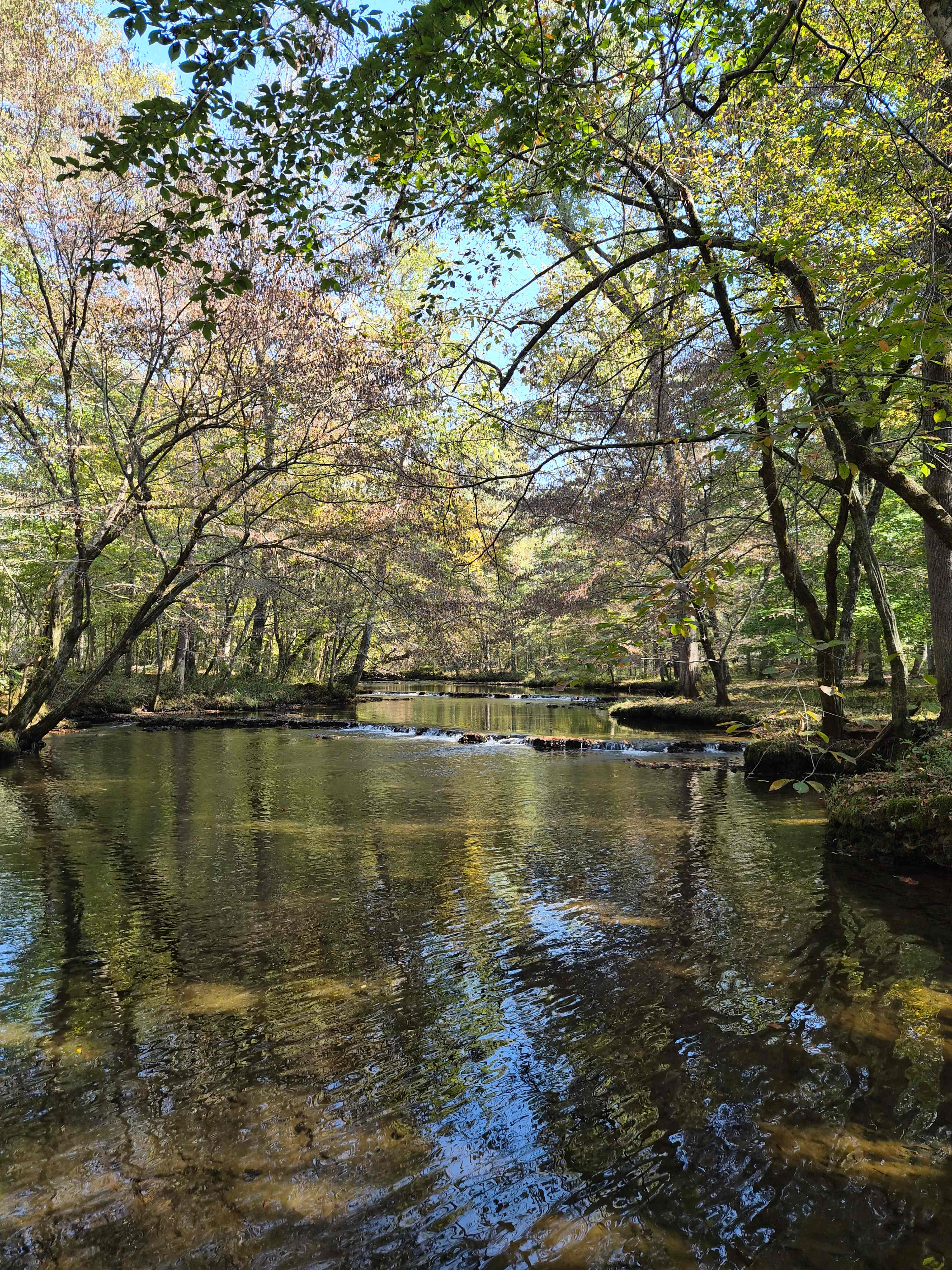 Rock Creek Wooded Campground