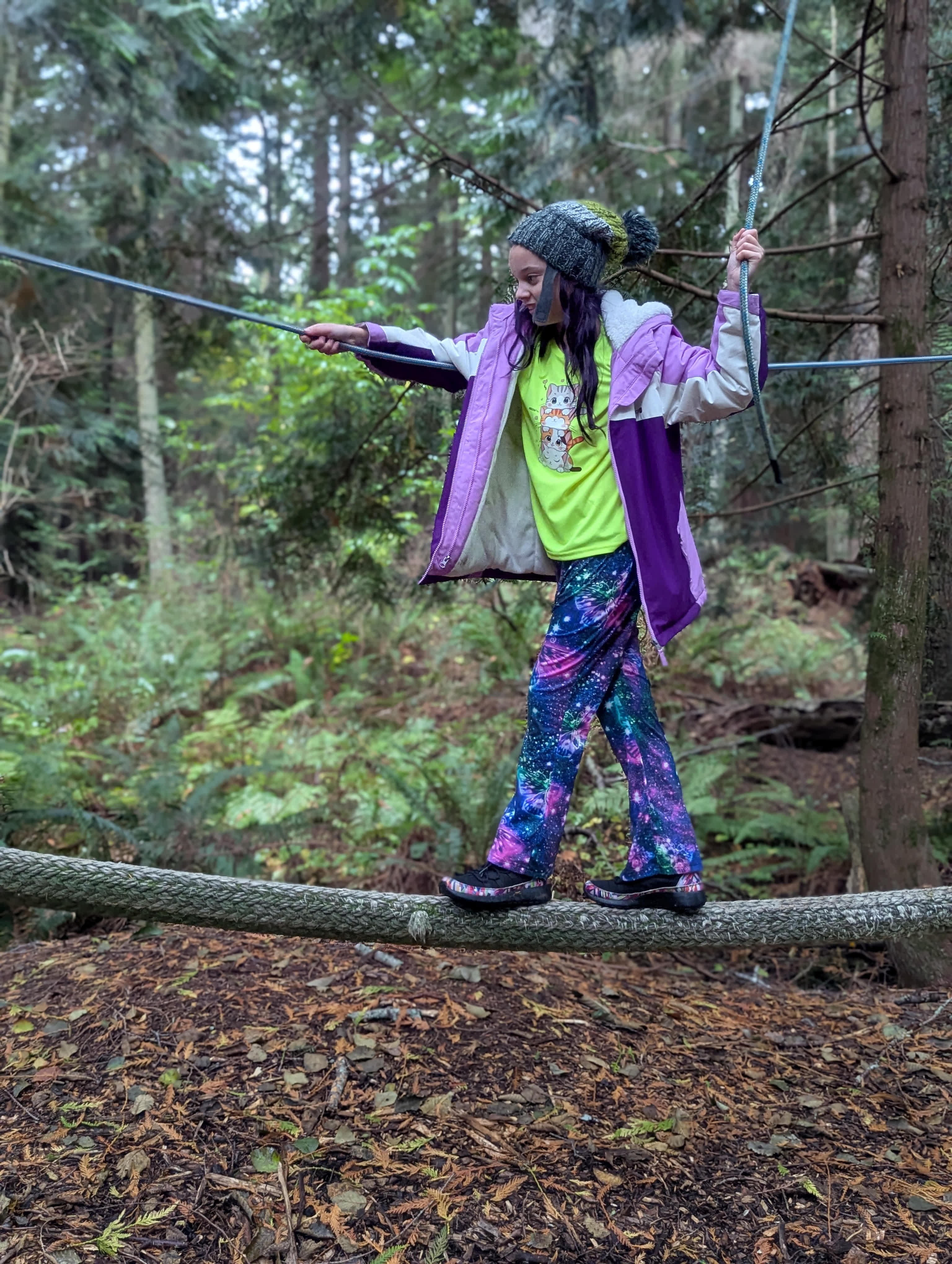 Finding Ballance in Nature