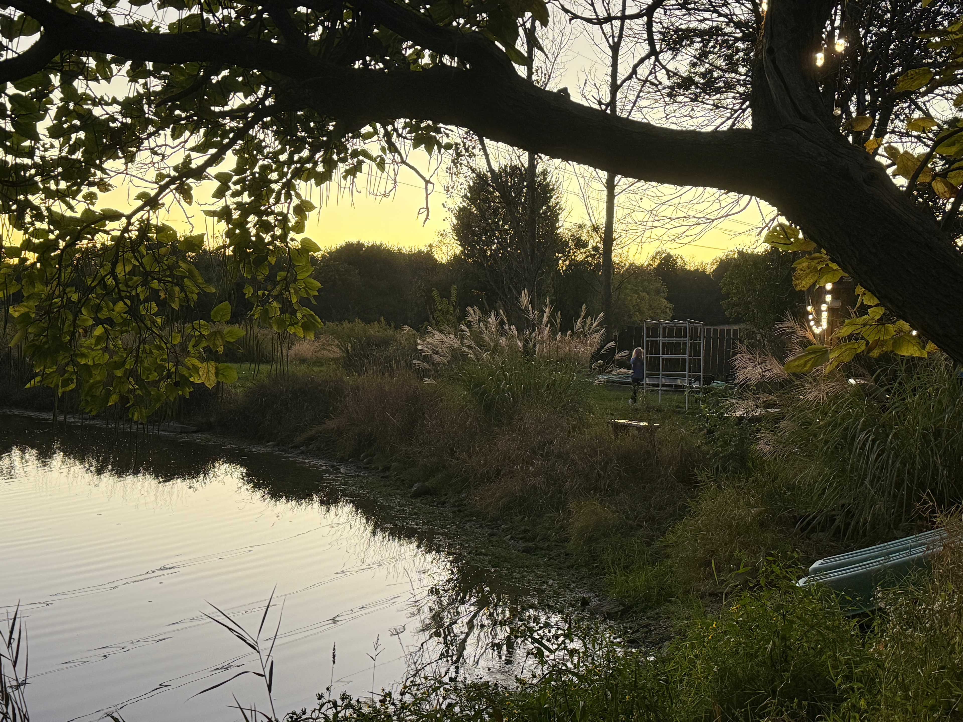 The Camp Cabin at the Hallstead