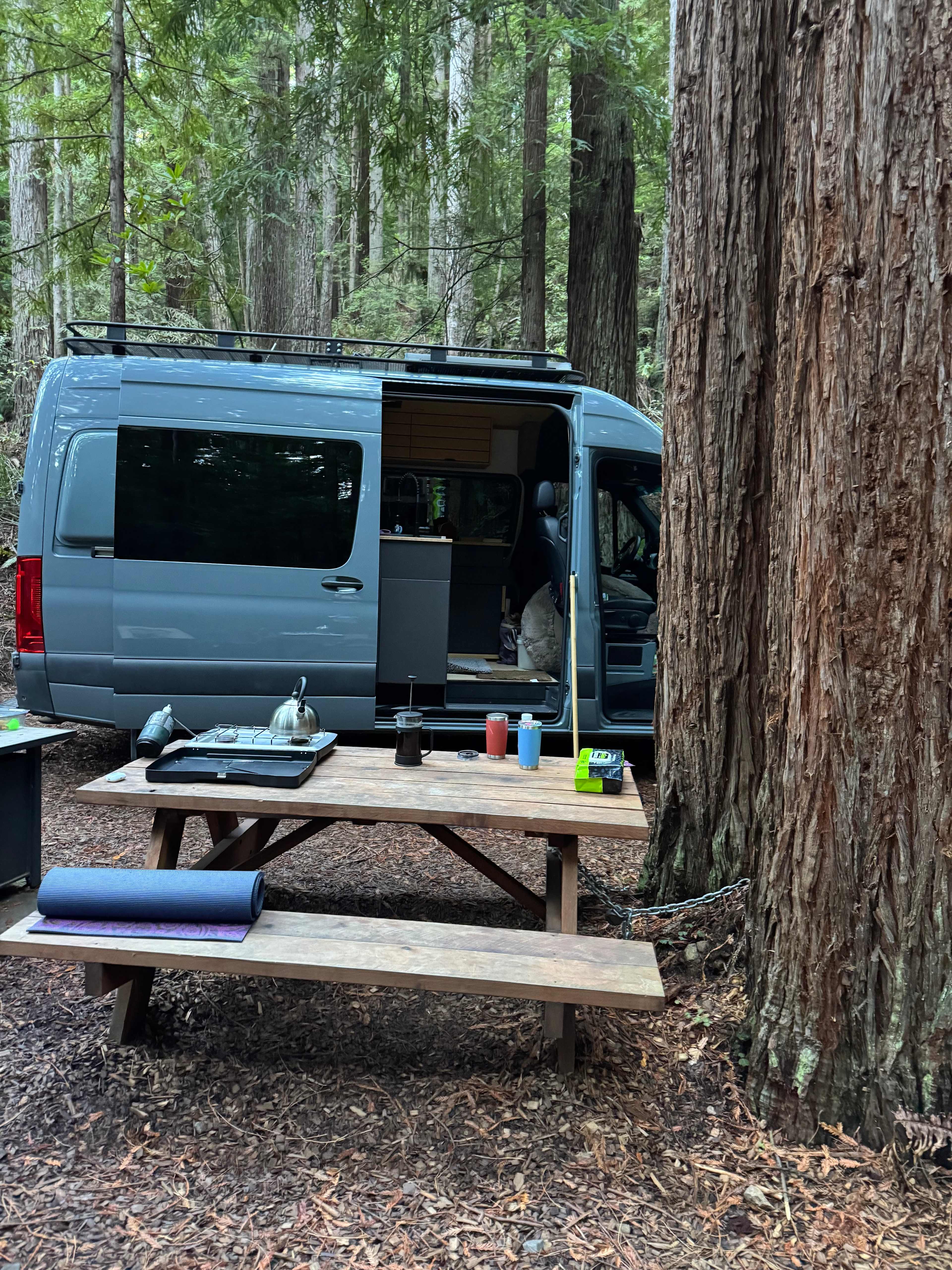 Whispering Redwood Creek