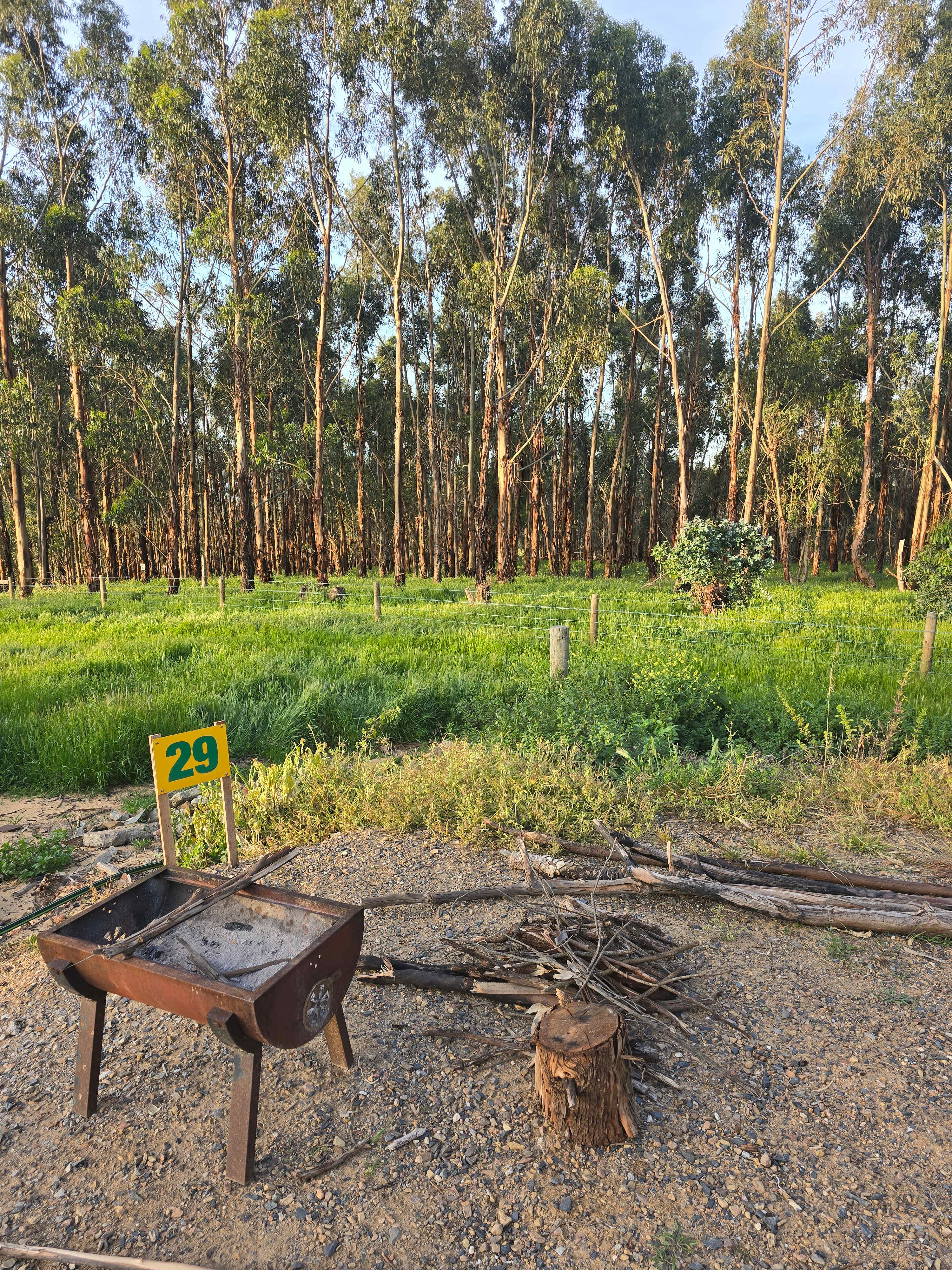 Koala Coast Retreat Farm