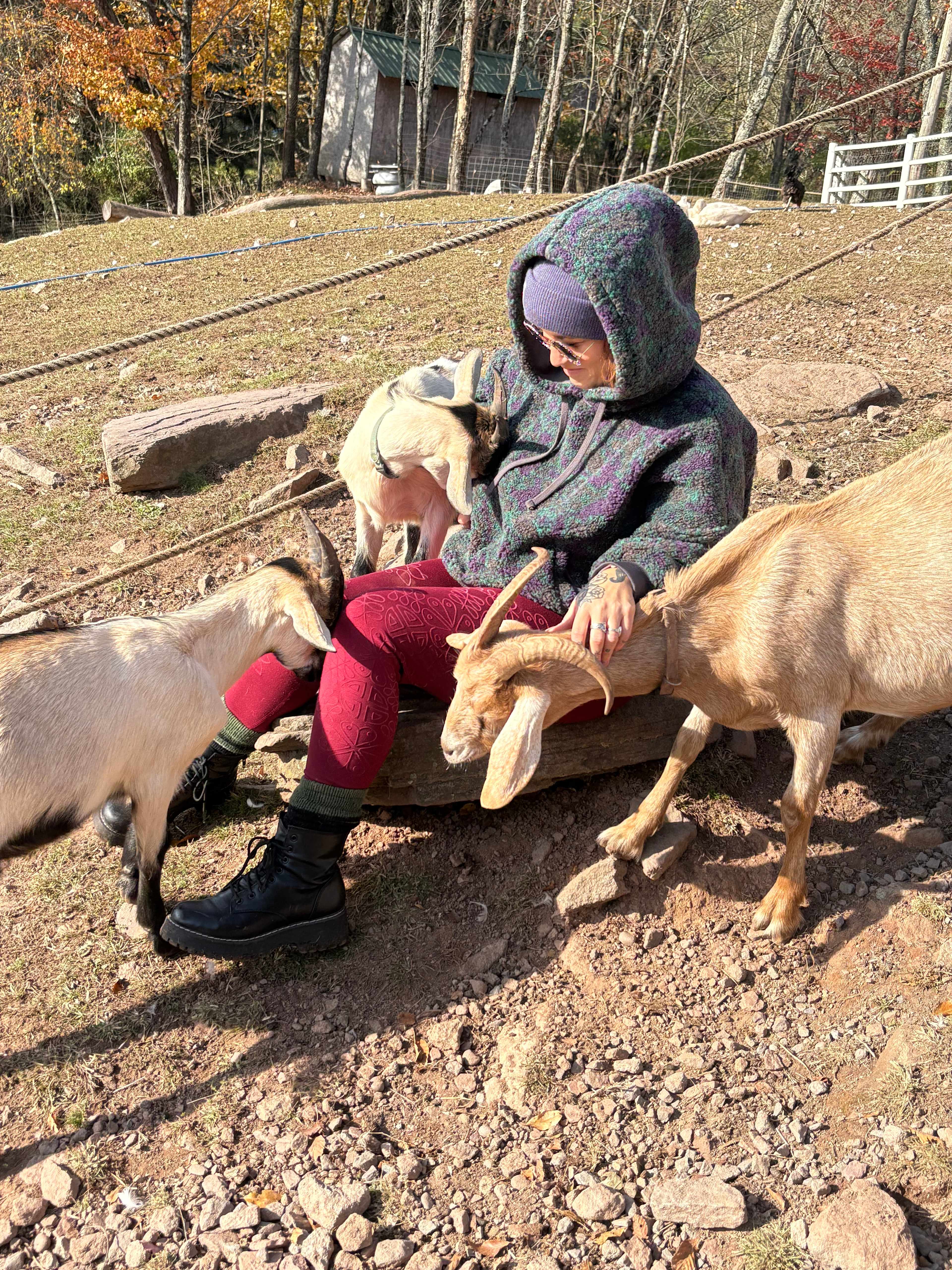 BeaverWood Farm (no children)