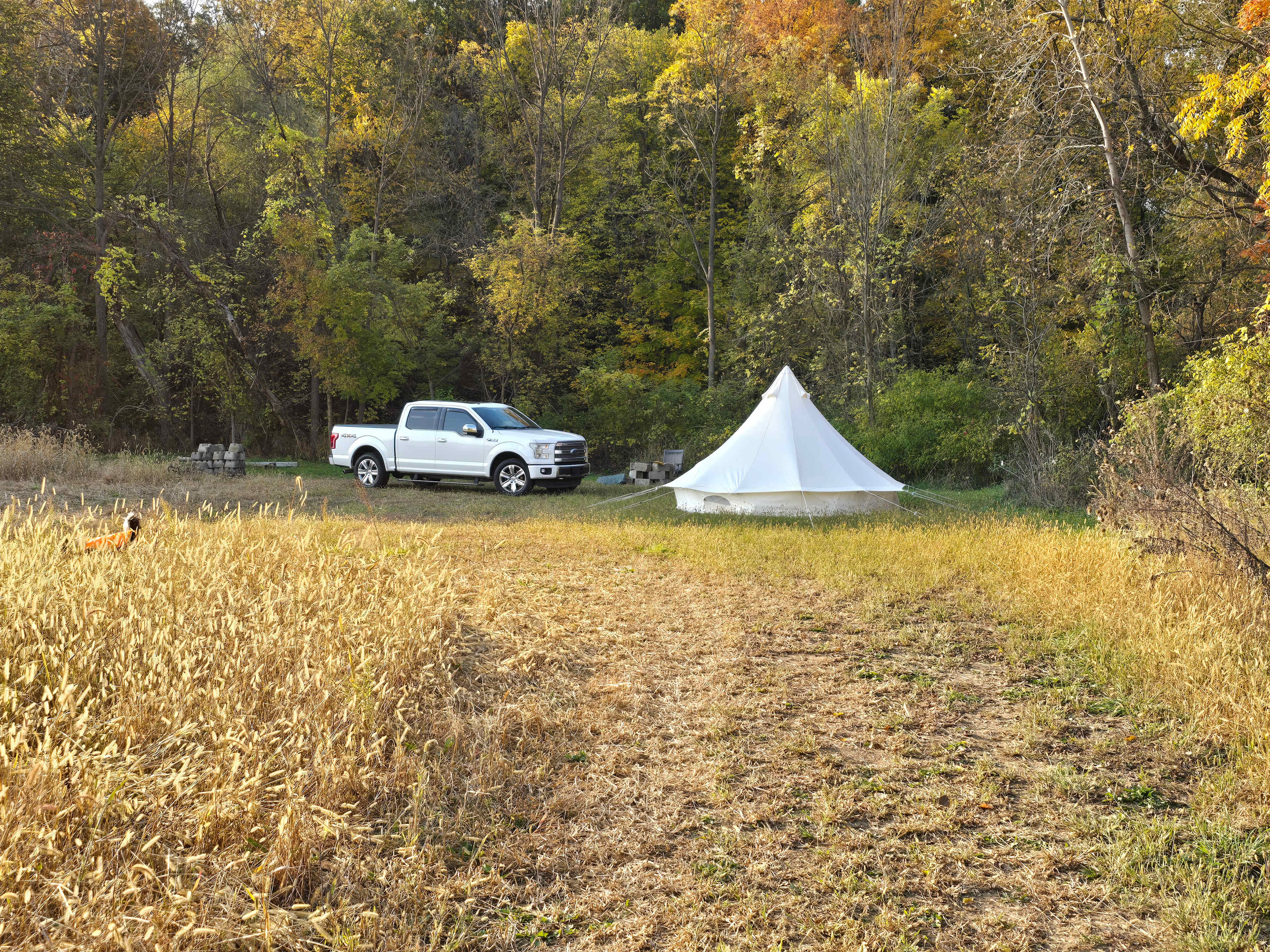 Backwoods River Camp WFBranch StJoe