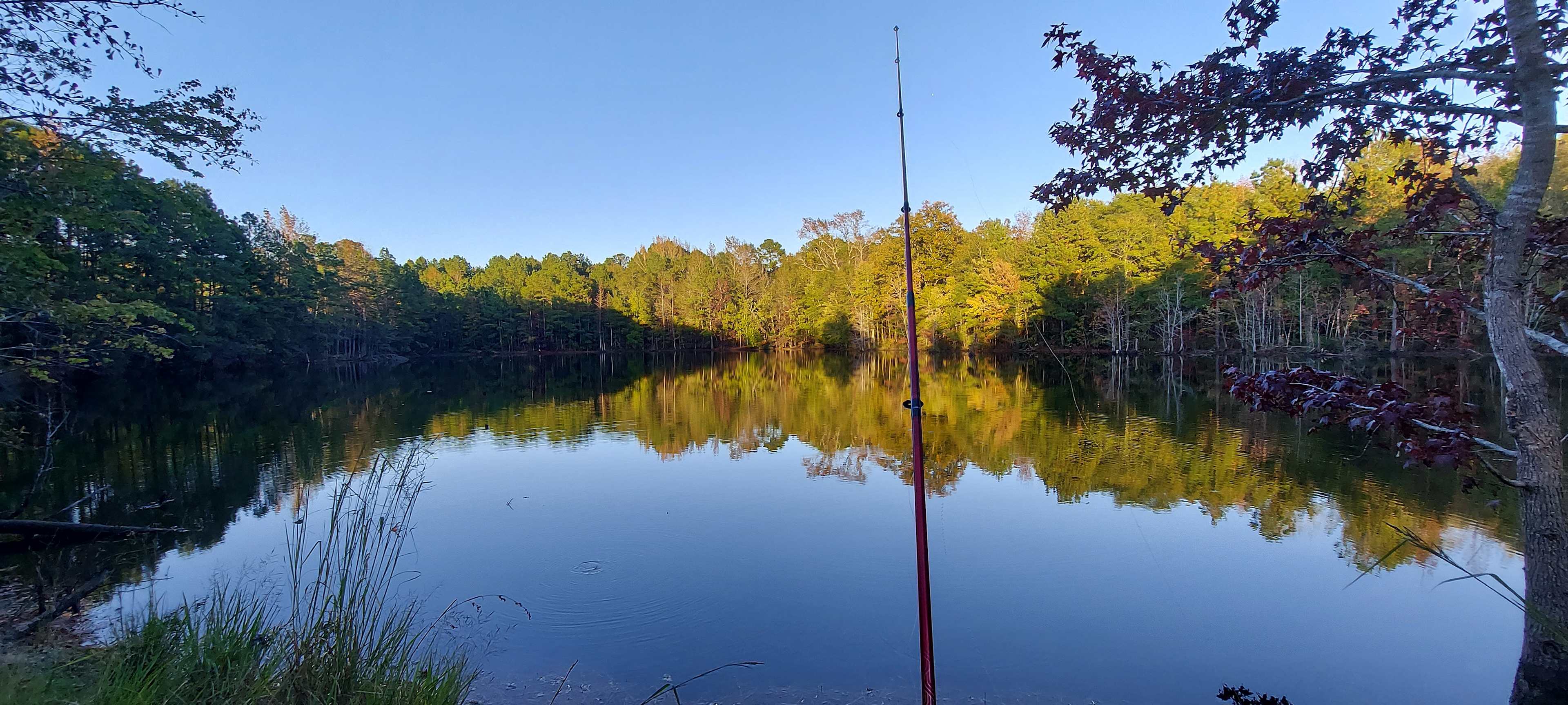 Scott’s Lakeview Camp and Park