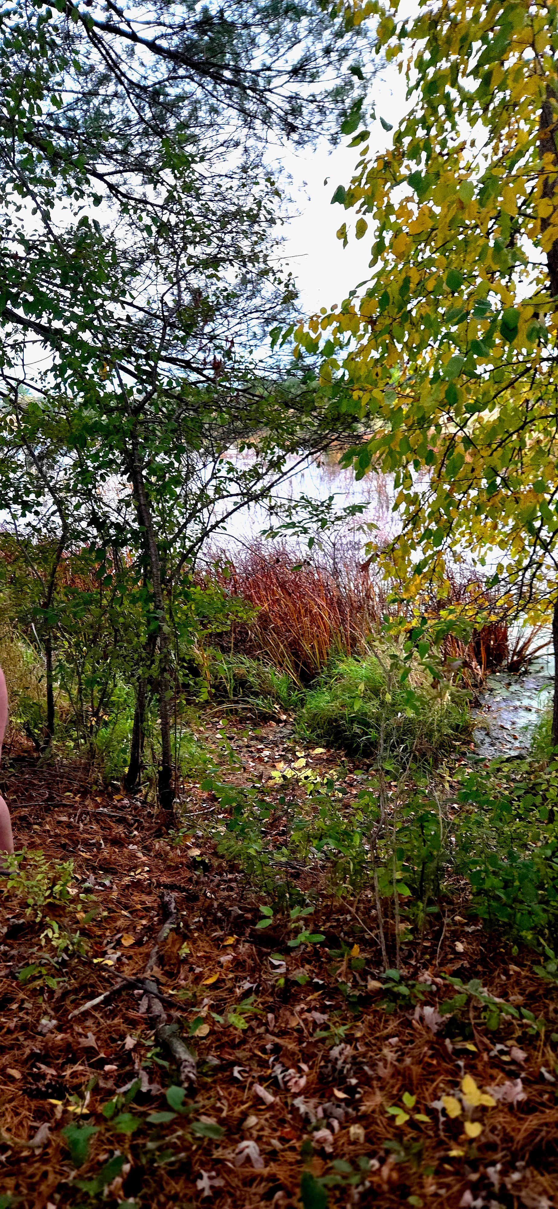 Waupaca River Retreat